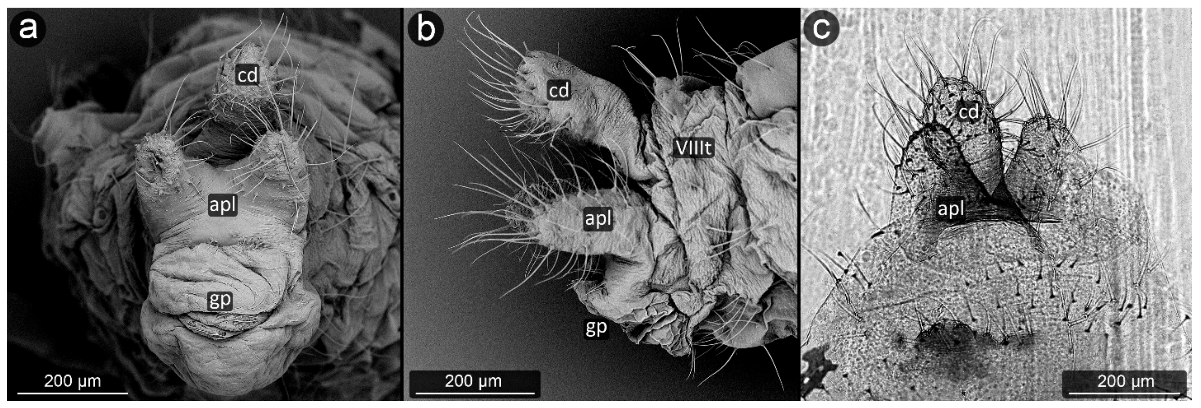 Insects 13 01160 g007