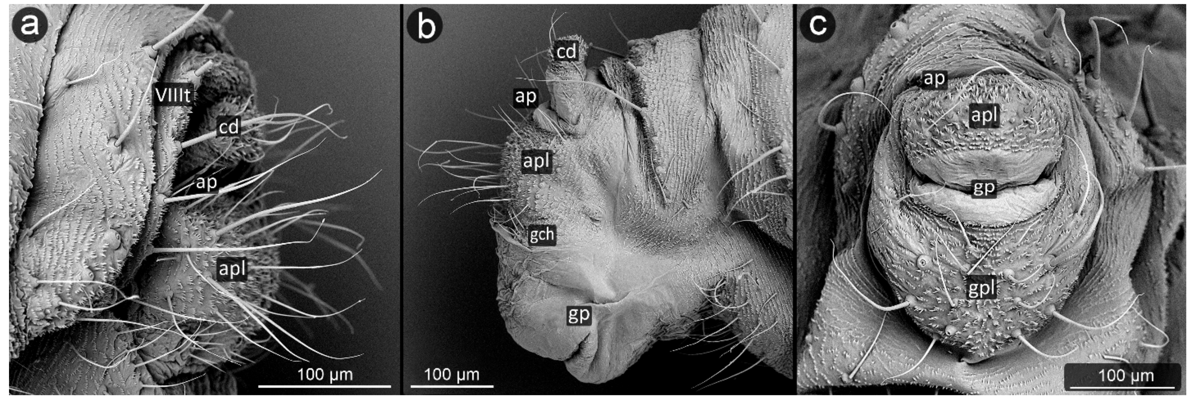 Insects 13 01160 g008