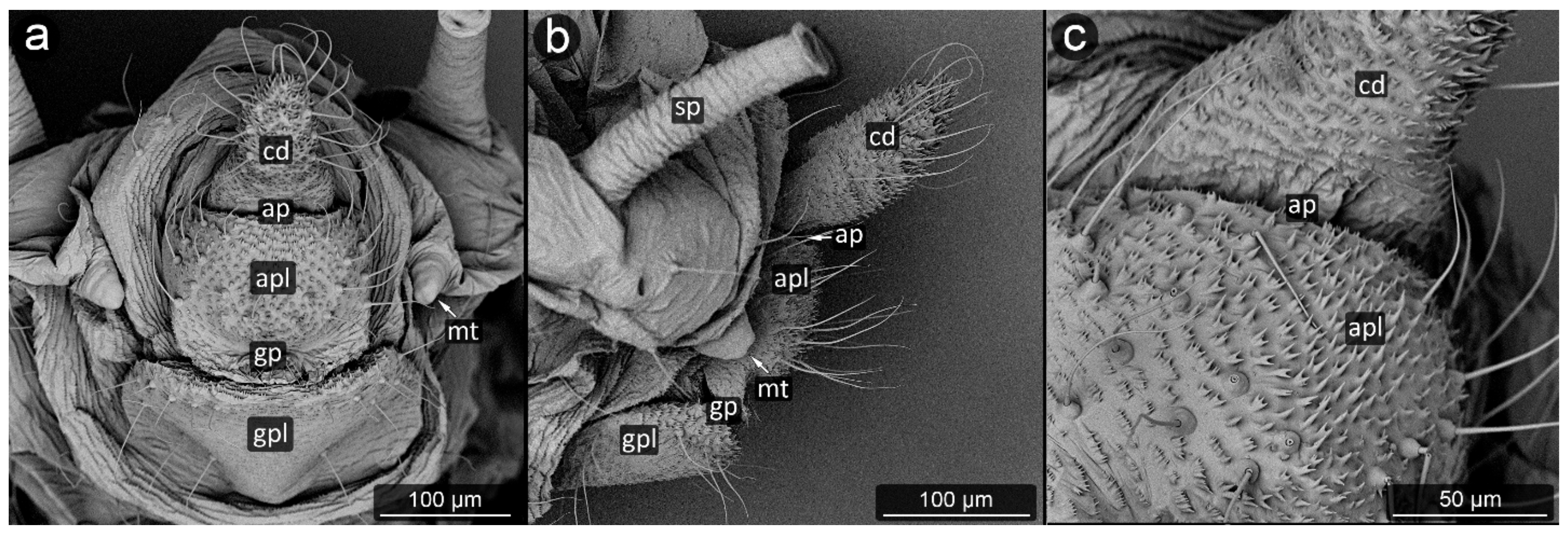 Insects 13 01160 g012