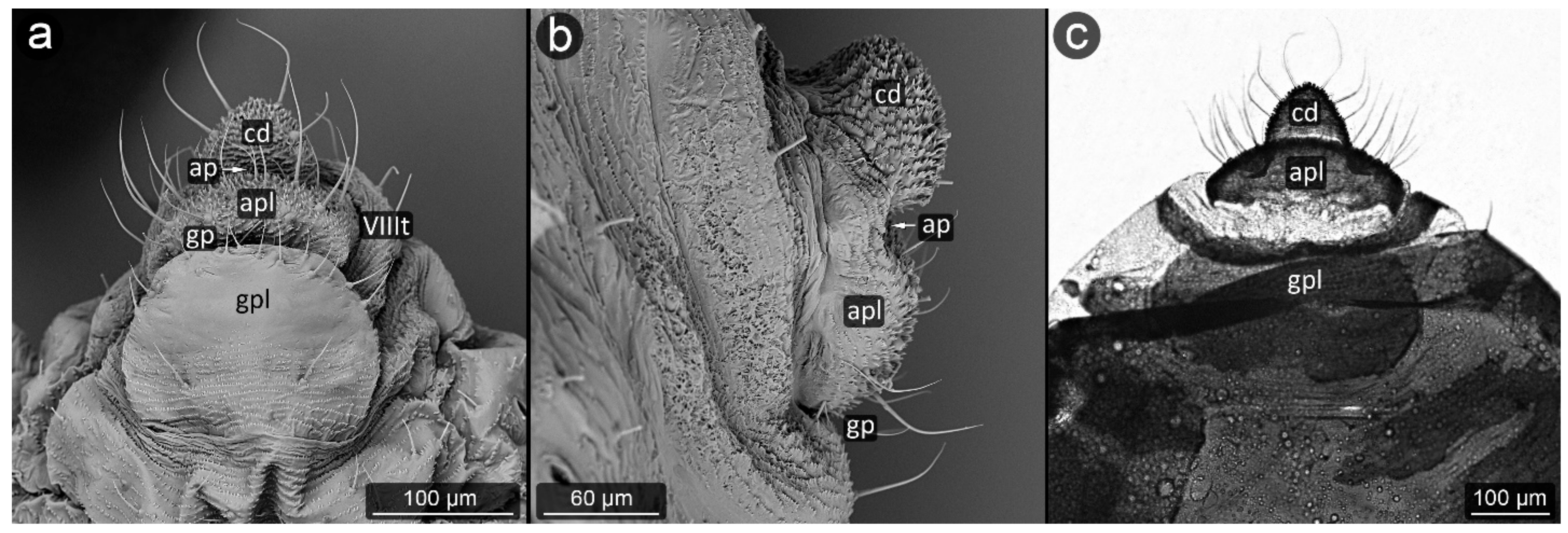 Insects 13 01160 g013