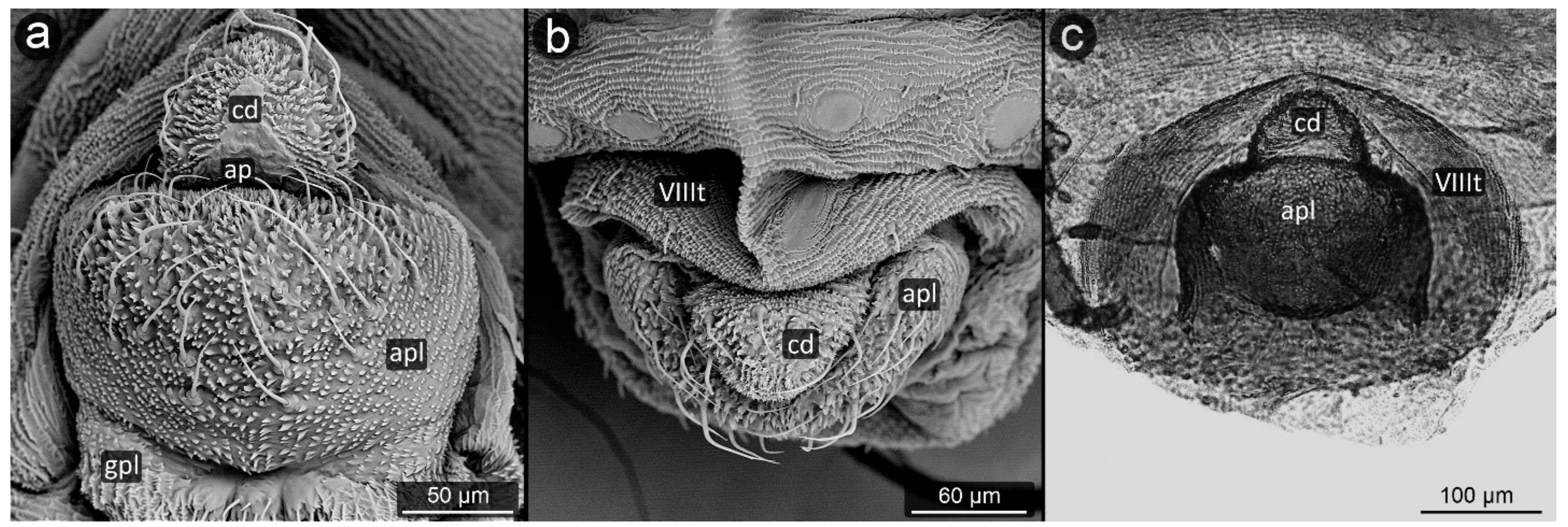 Insects 13 01160 g014