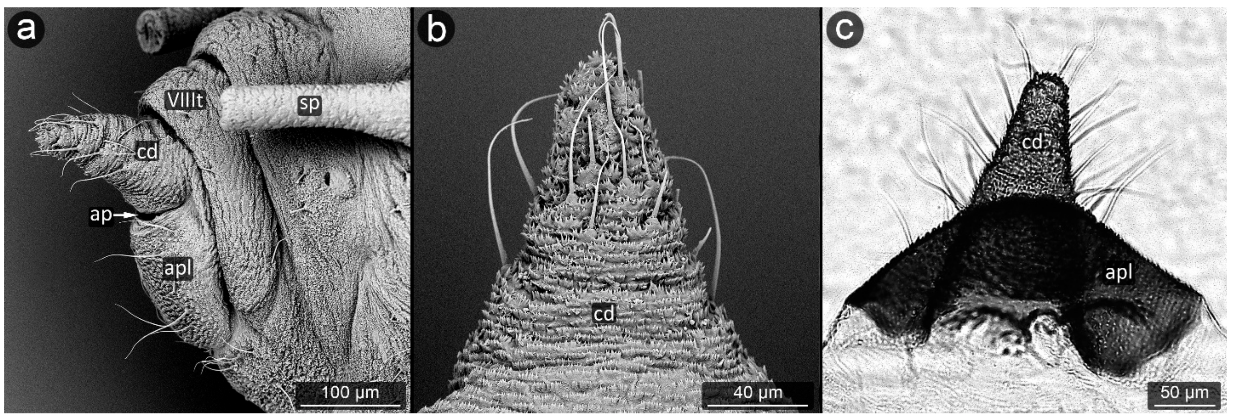 Insects 13 01160 g015