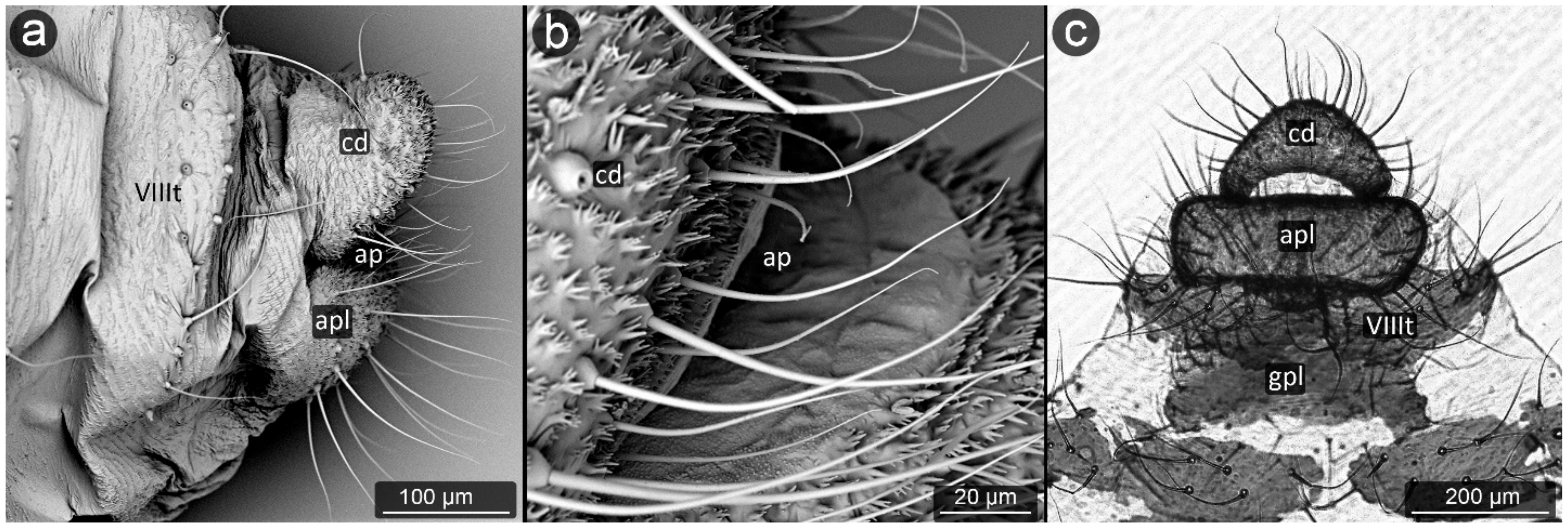 Insects 13 01160 g016