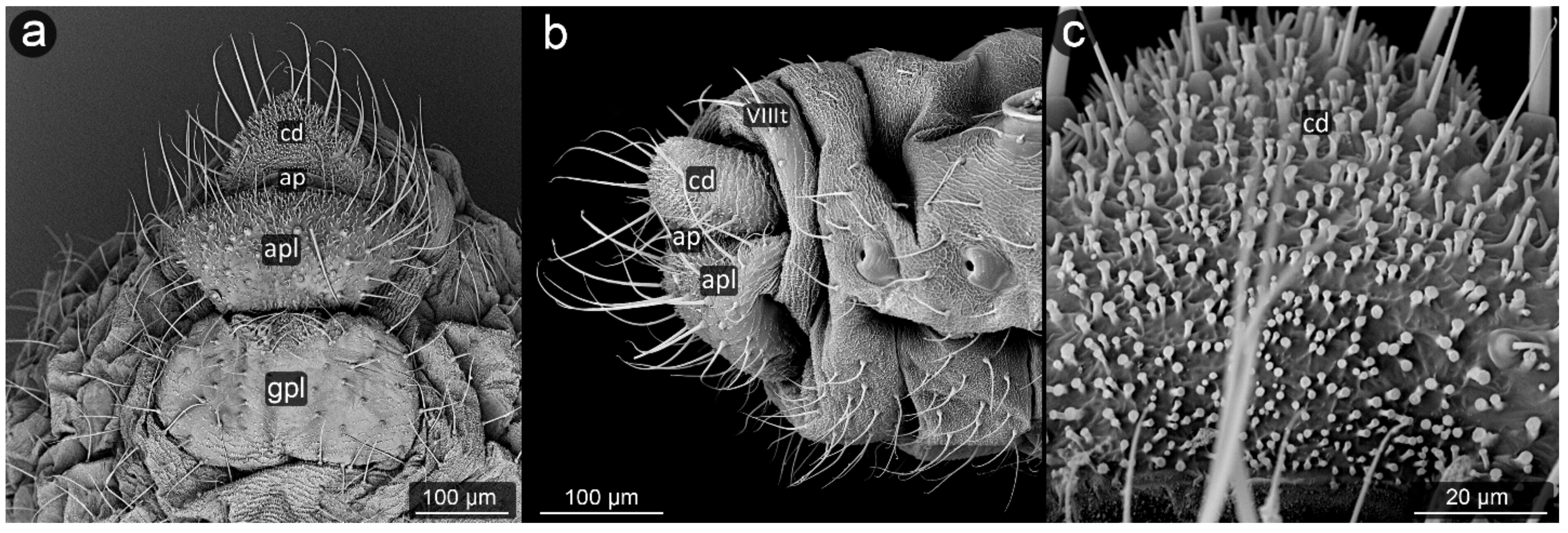 Insects 13 01160 g018