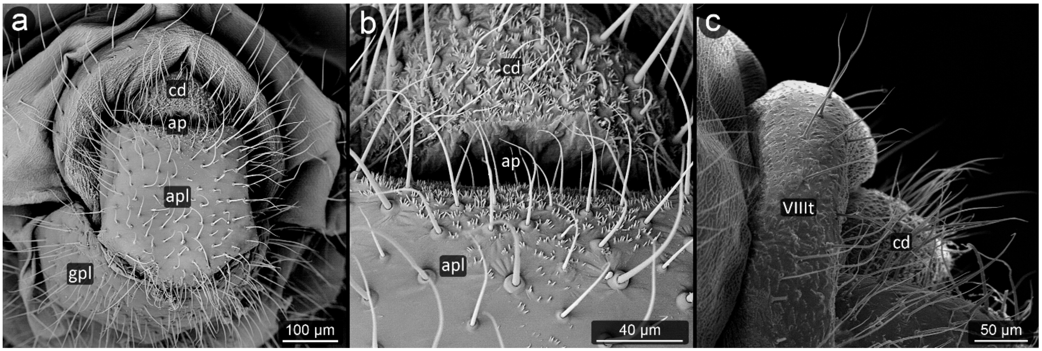 Insects 13 01160 g019