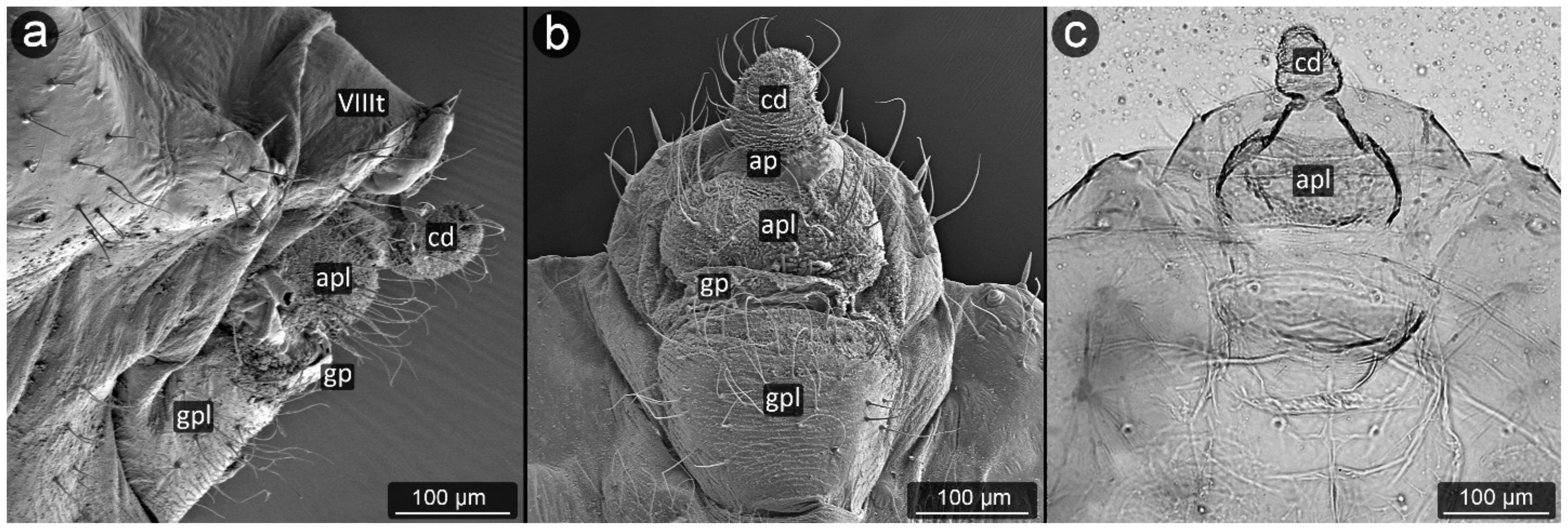 Insects 13 01160 g020