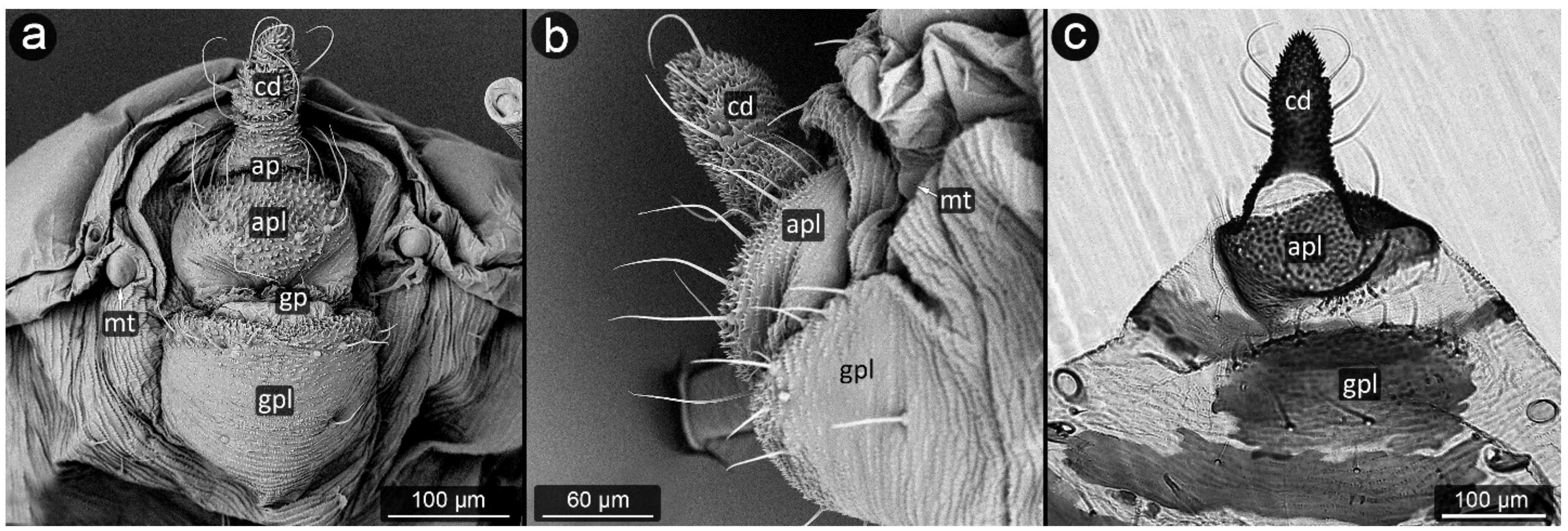 Insects 13 01160 g021