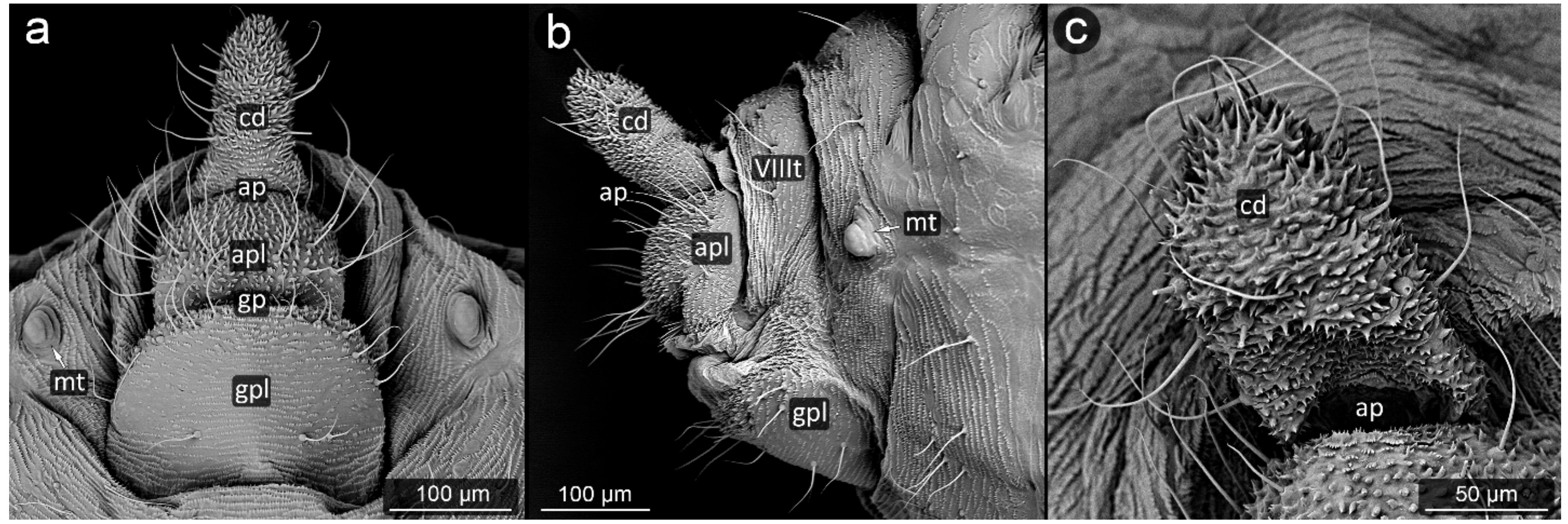 Insects 13 01160 g022