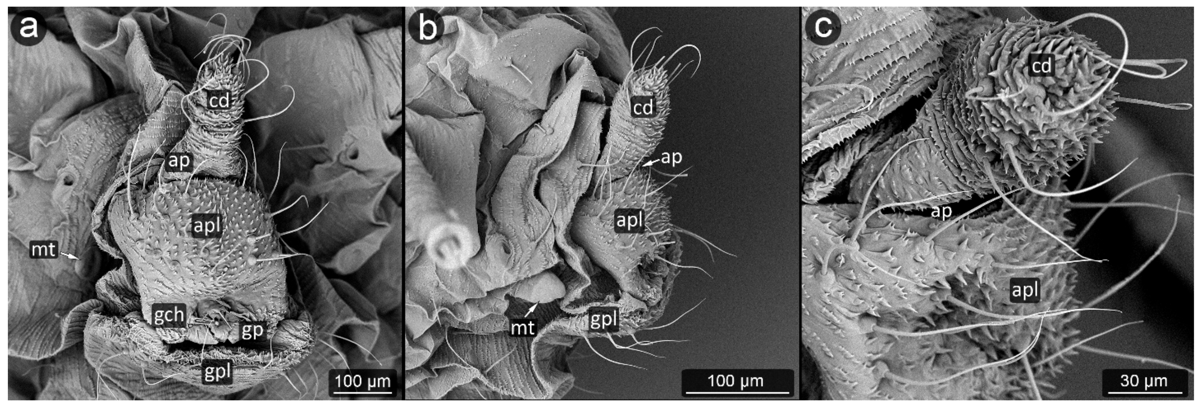 Insects 13 01160 g023
