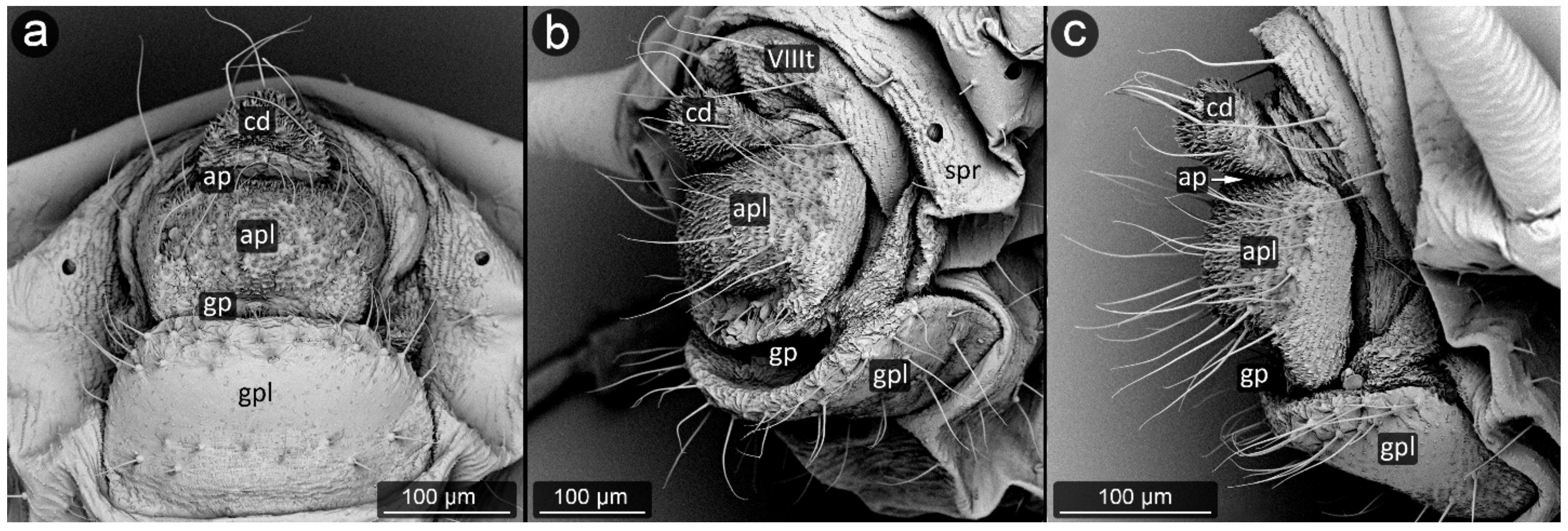 Insects 13 01160 g024