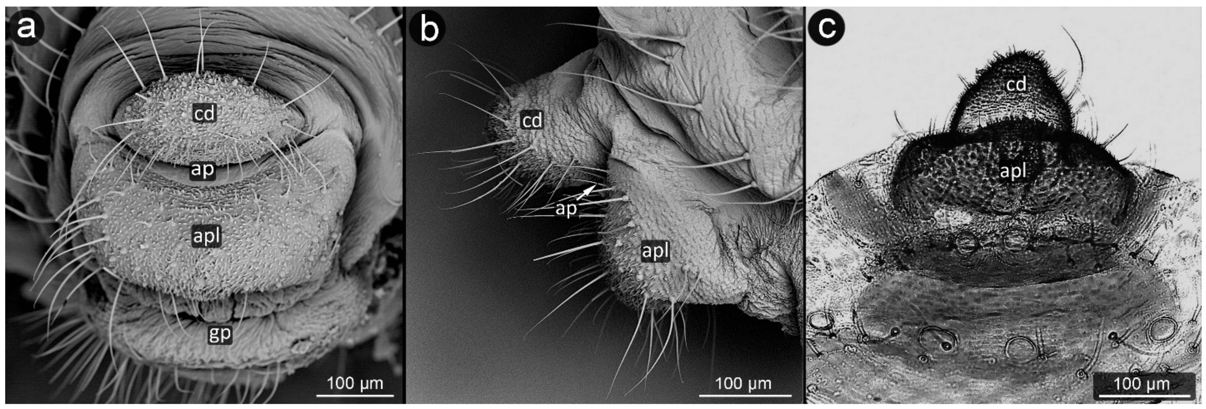 Insects 13 01160 g025