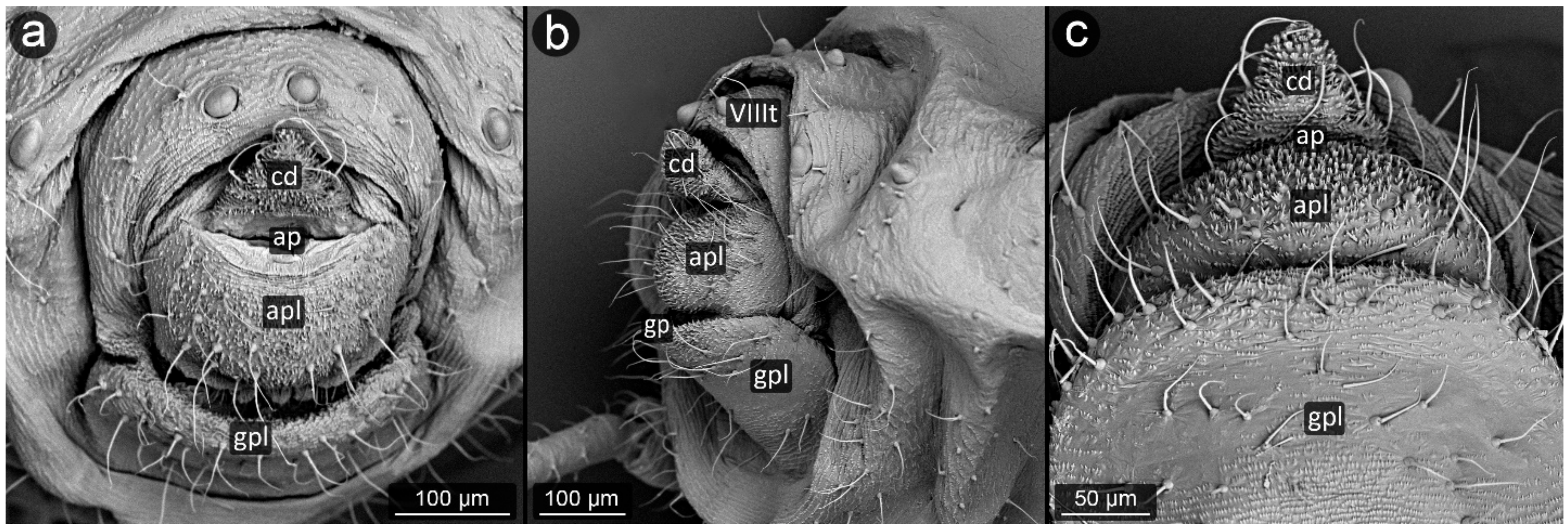 Insects 13 01160 g027