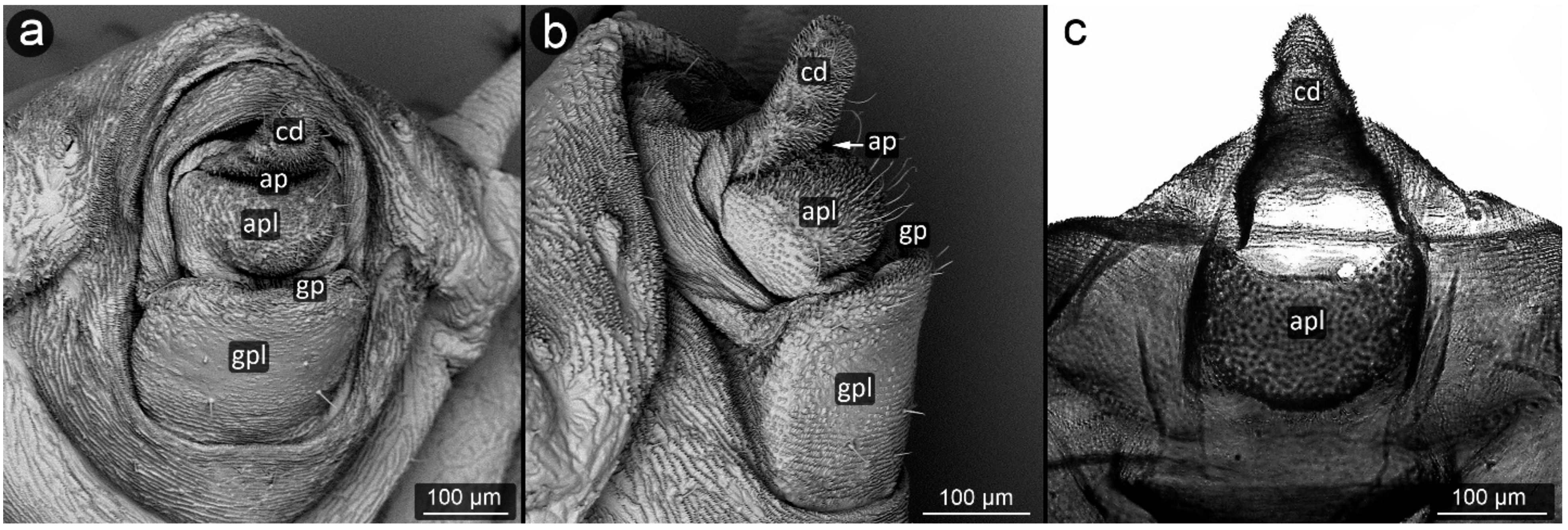 Insects 13 01160 g028