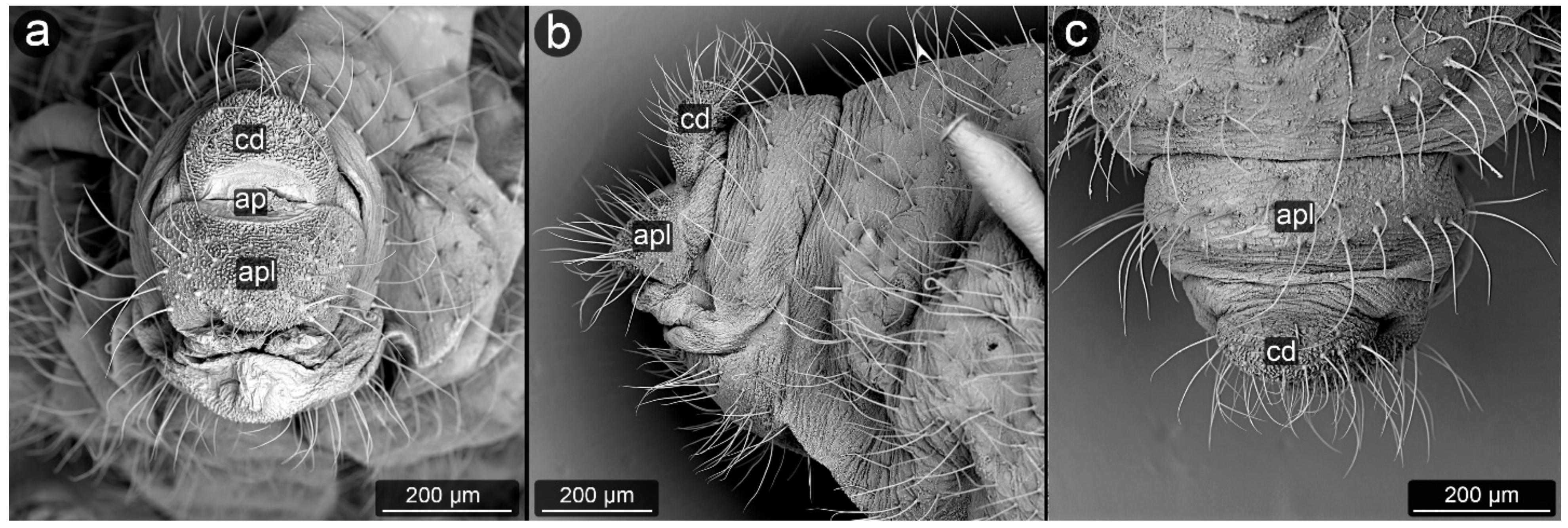 Insects 13 01160 g029
