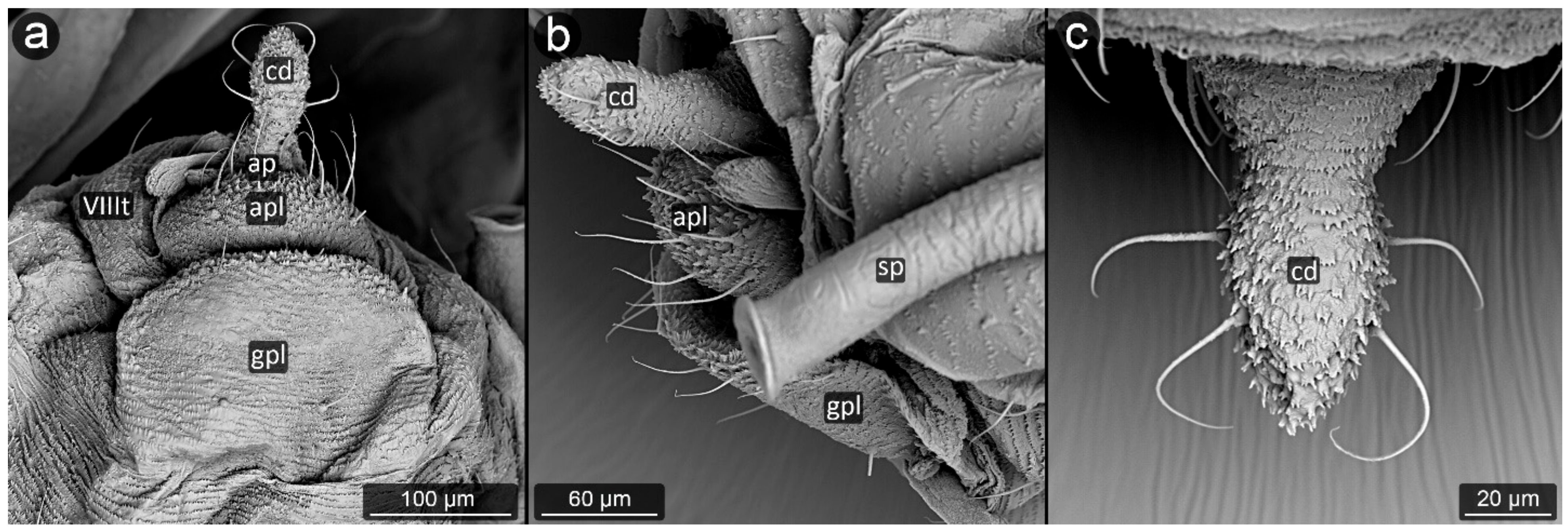 Insects 13 01160 g030