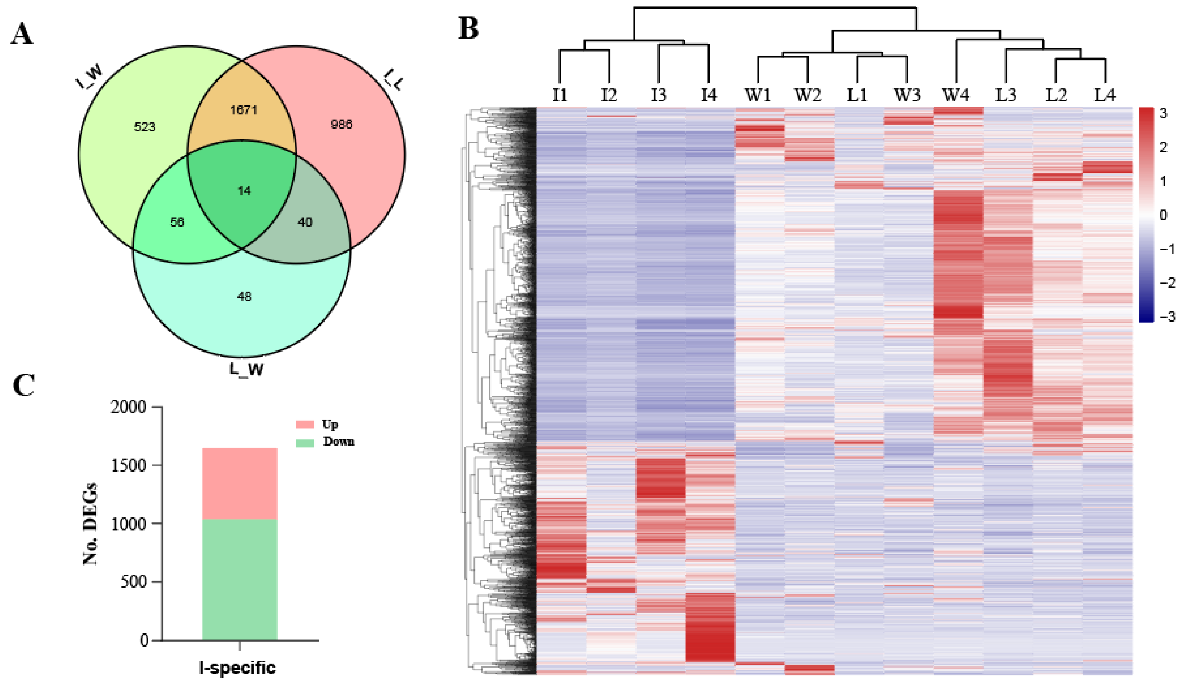 Insects 13 01163 g002