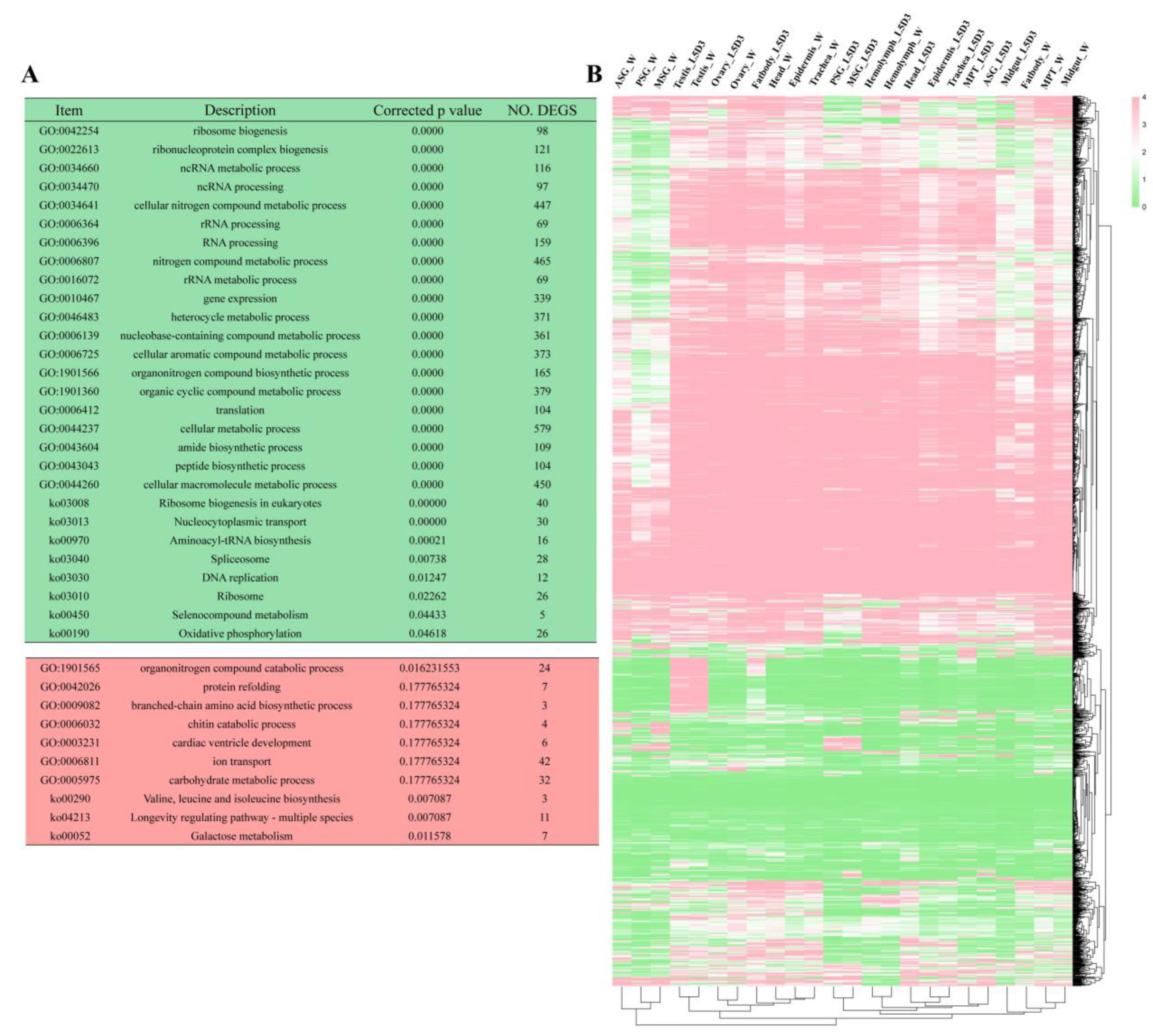 Insects 13 01163 g003