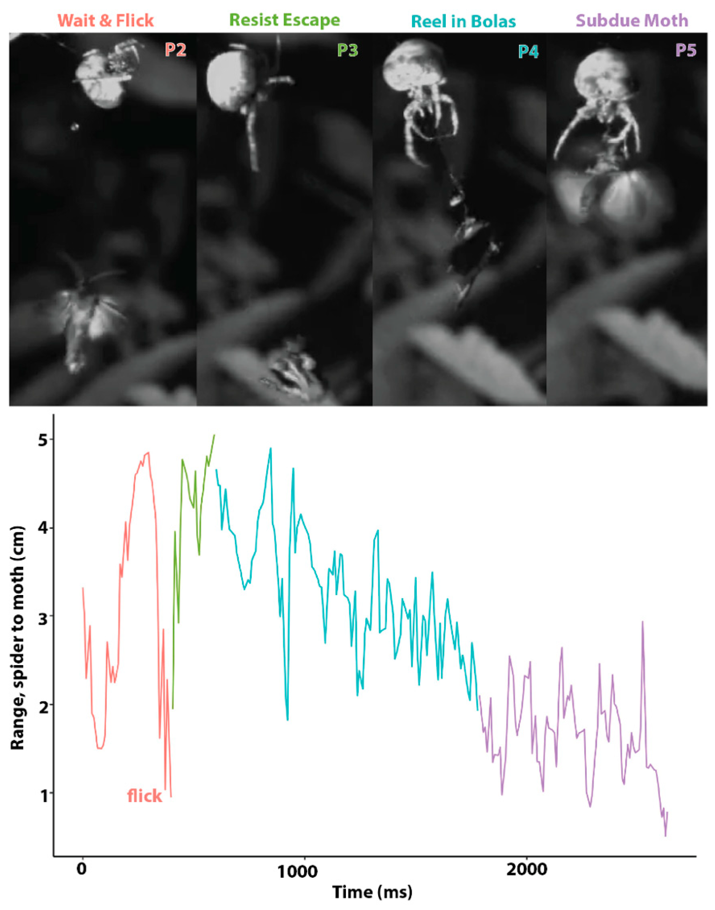 Insects 13 01166 g003