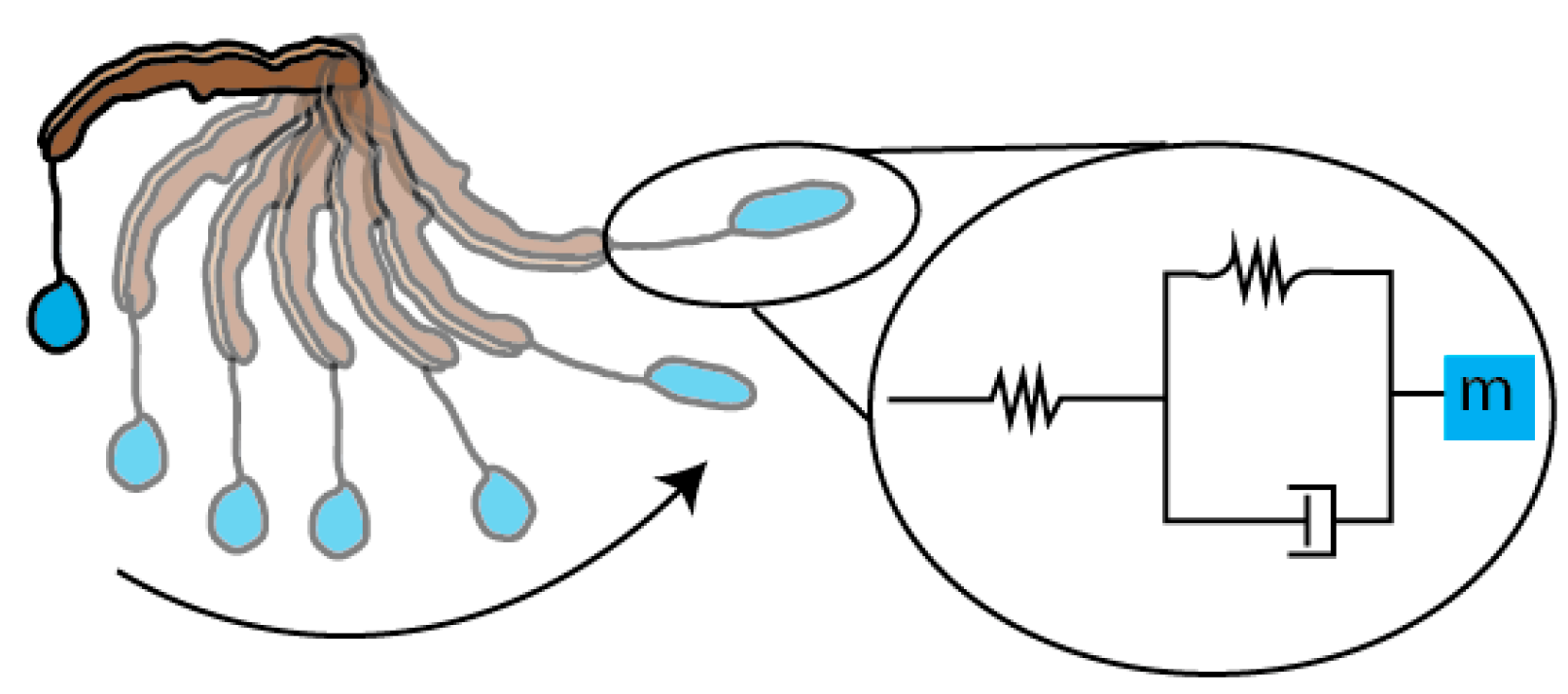 Insects 13 01166 g006