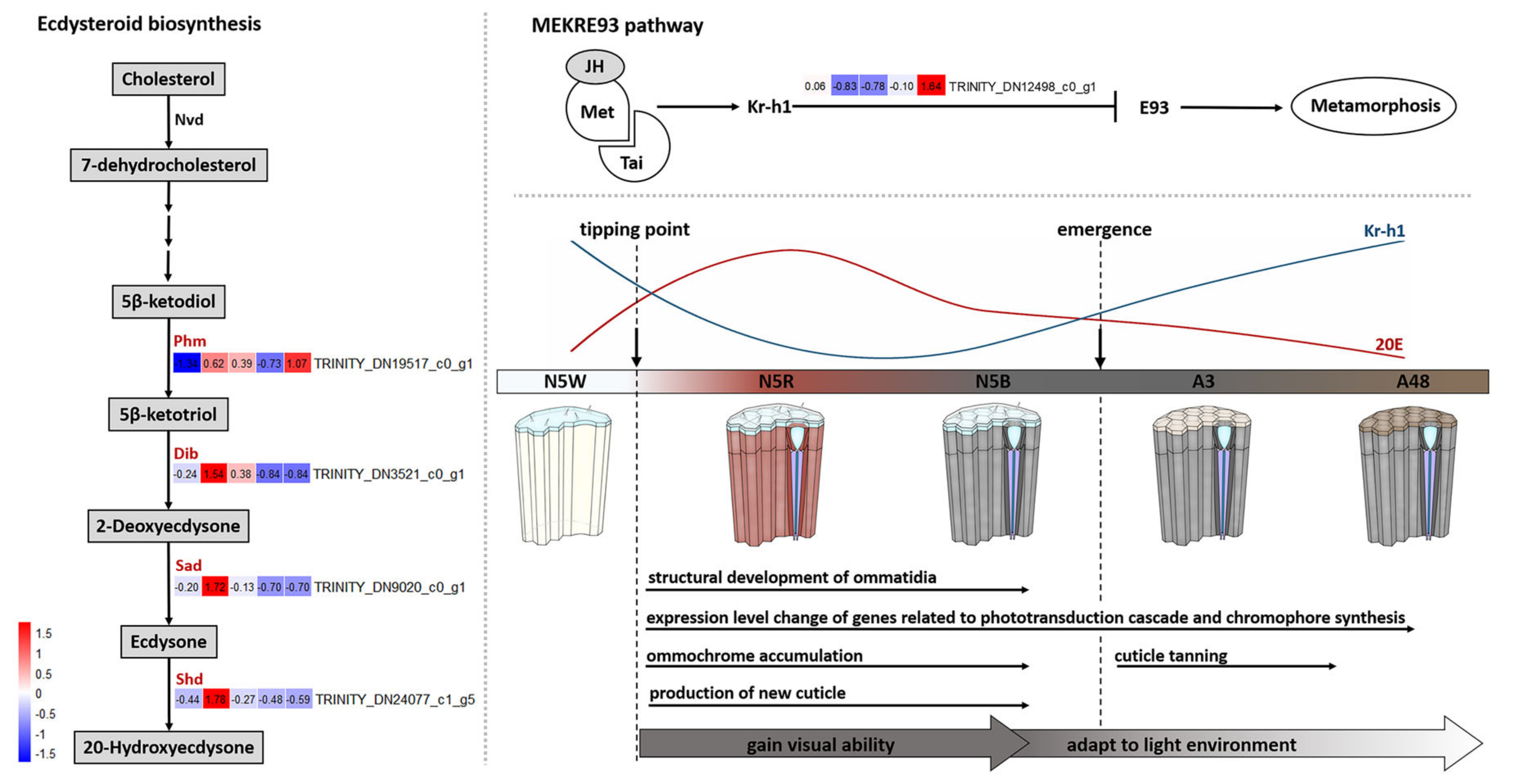 Insects 13 01170 g007