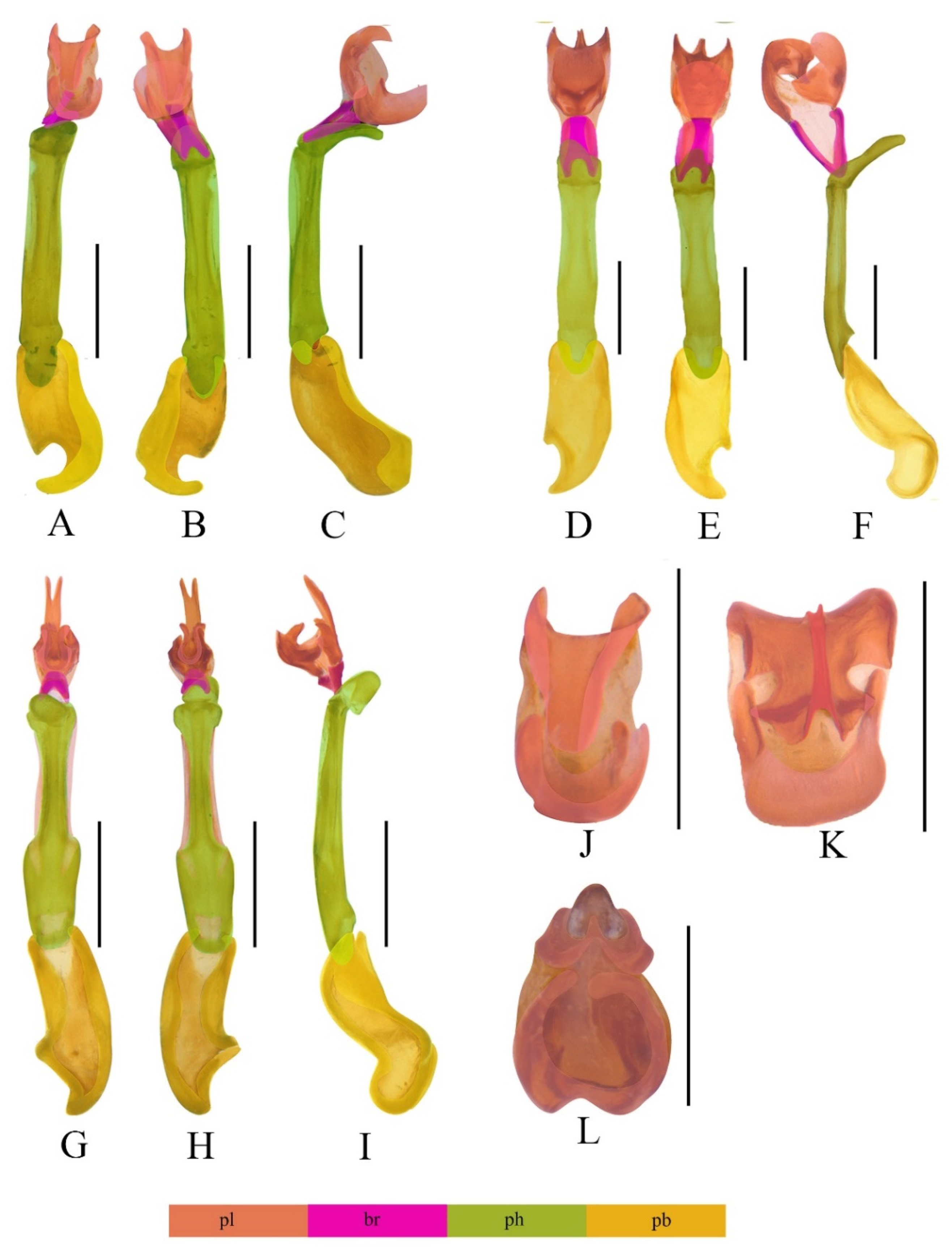 Insects 13 01171 g003