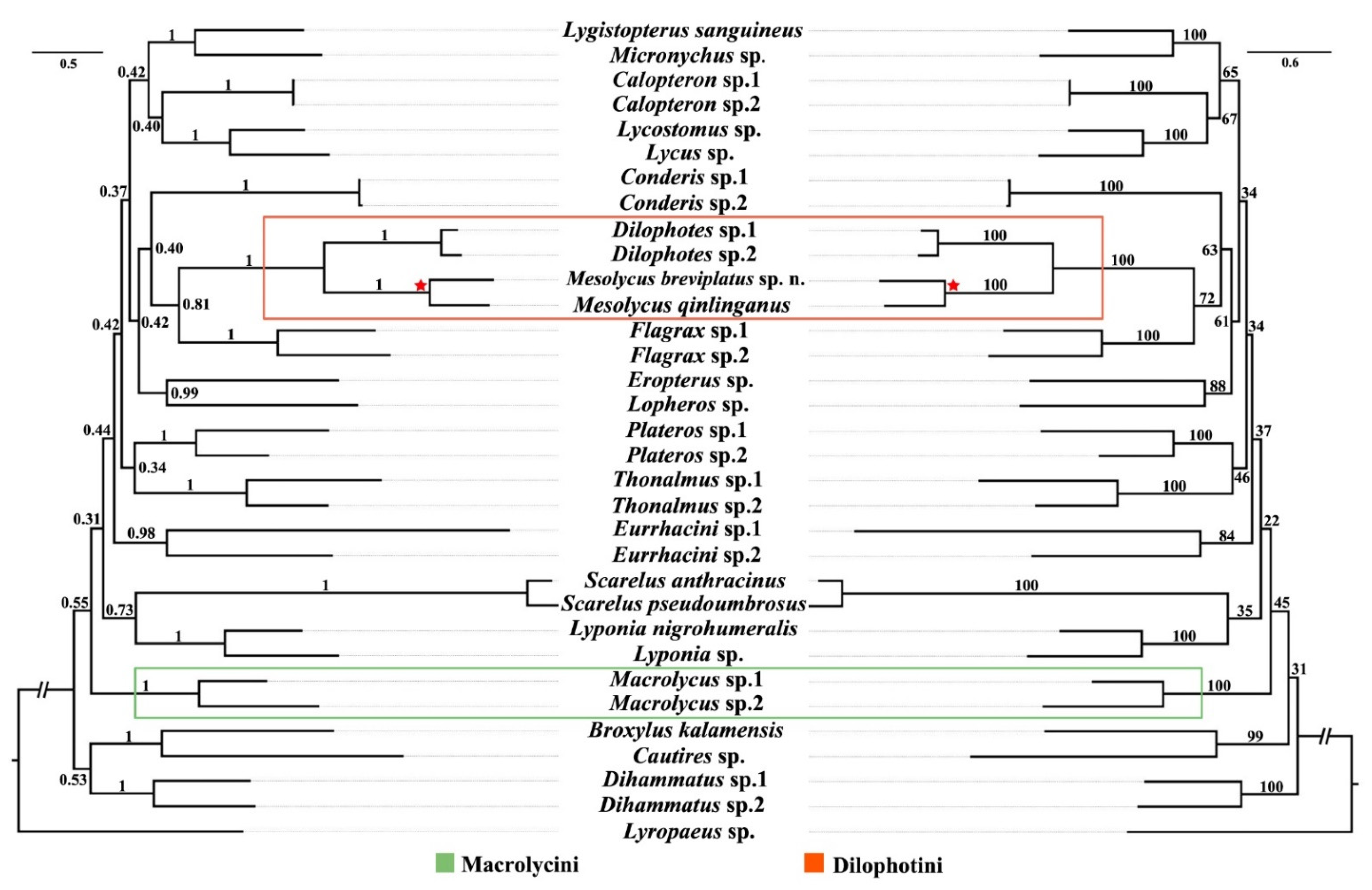 Insects 13 01171 g005
