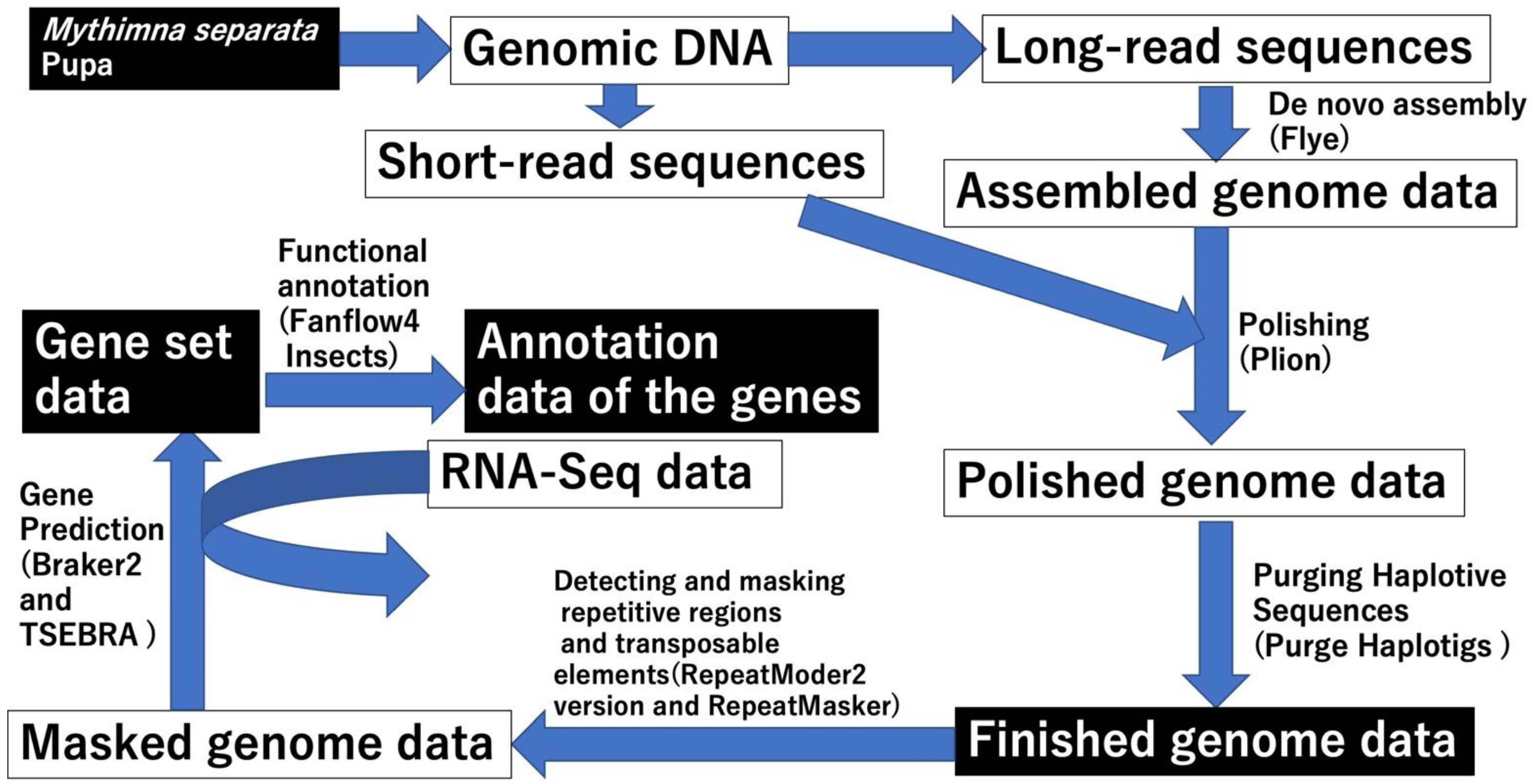 Insects 13 01172 g001