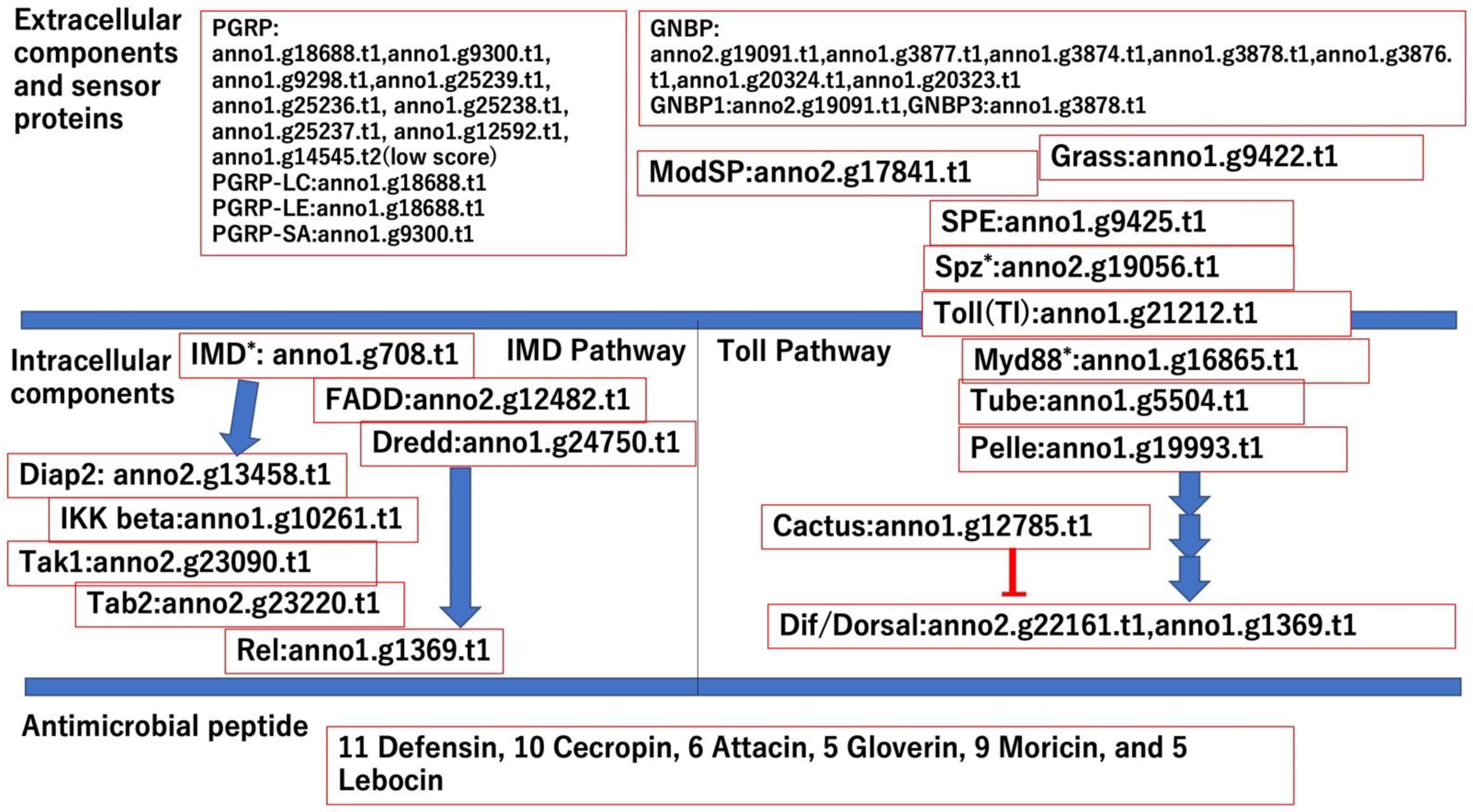 Insects 13 01172 g002
