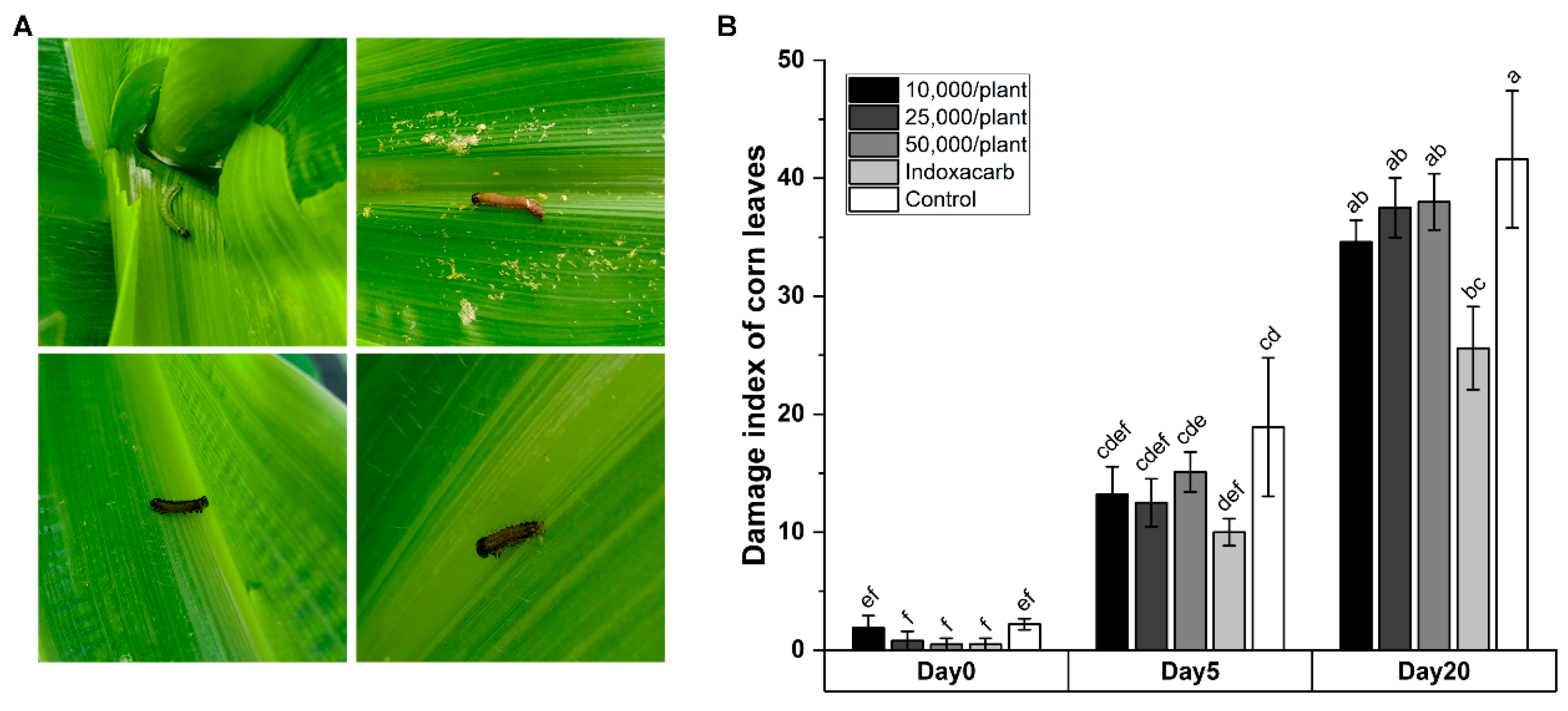 Insects 14 00002 g003 Insects 14 00002 g003