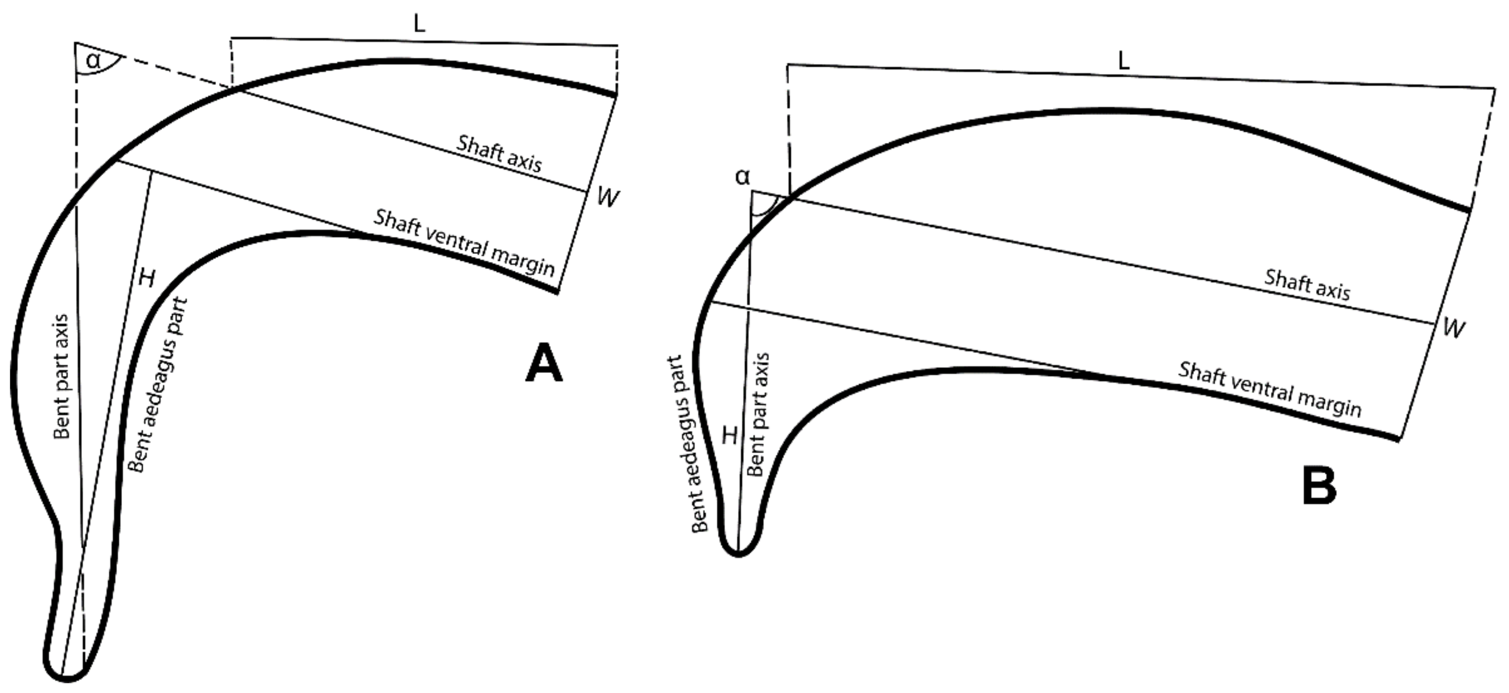 Insects 14 00003 g003 Insects 14 00003 g003