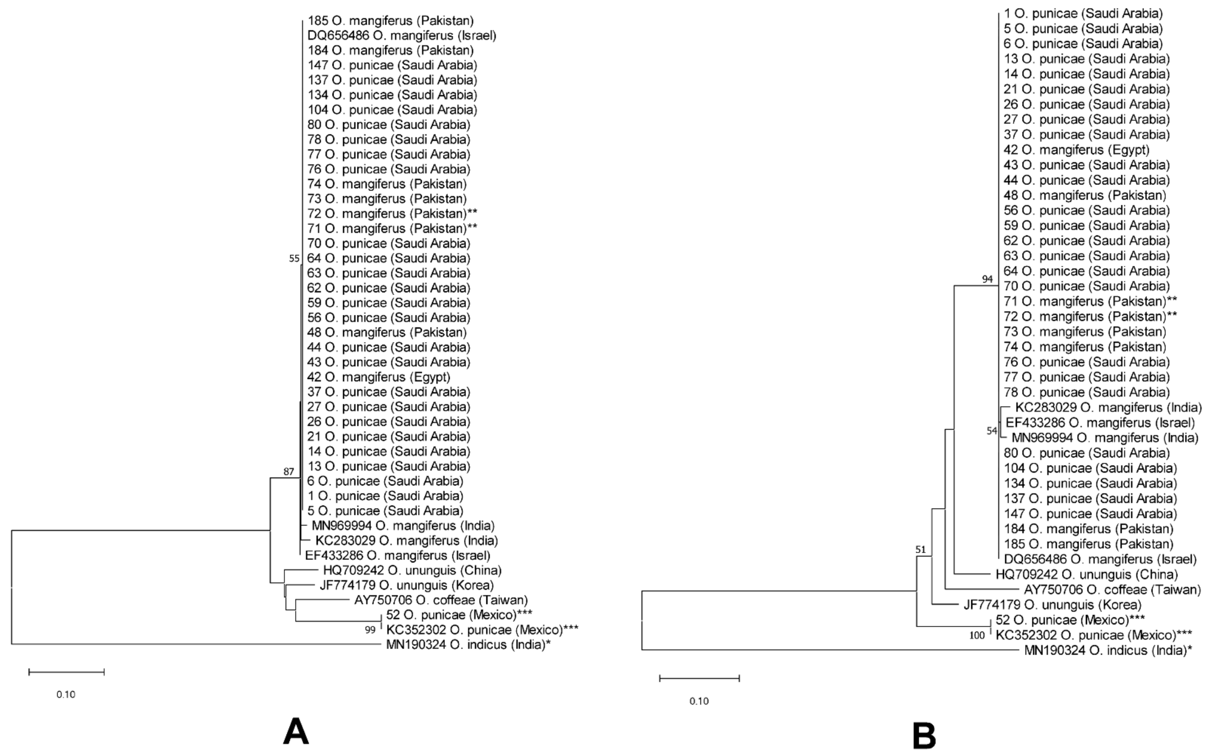 Insects 14 00003 g006 Insects 14 00003 g006
