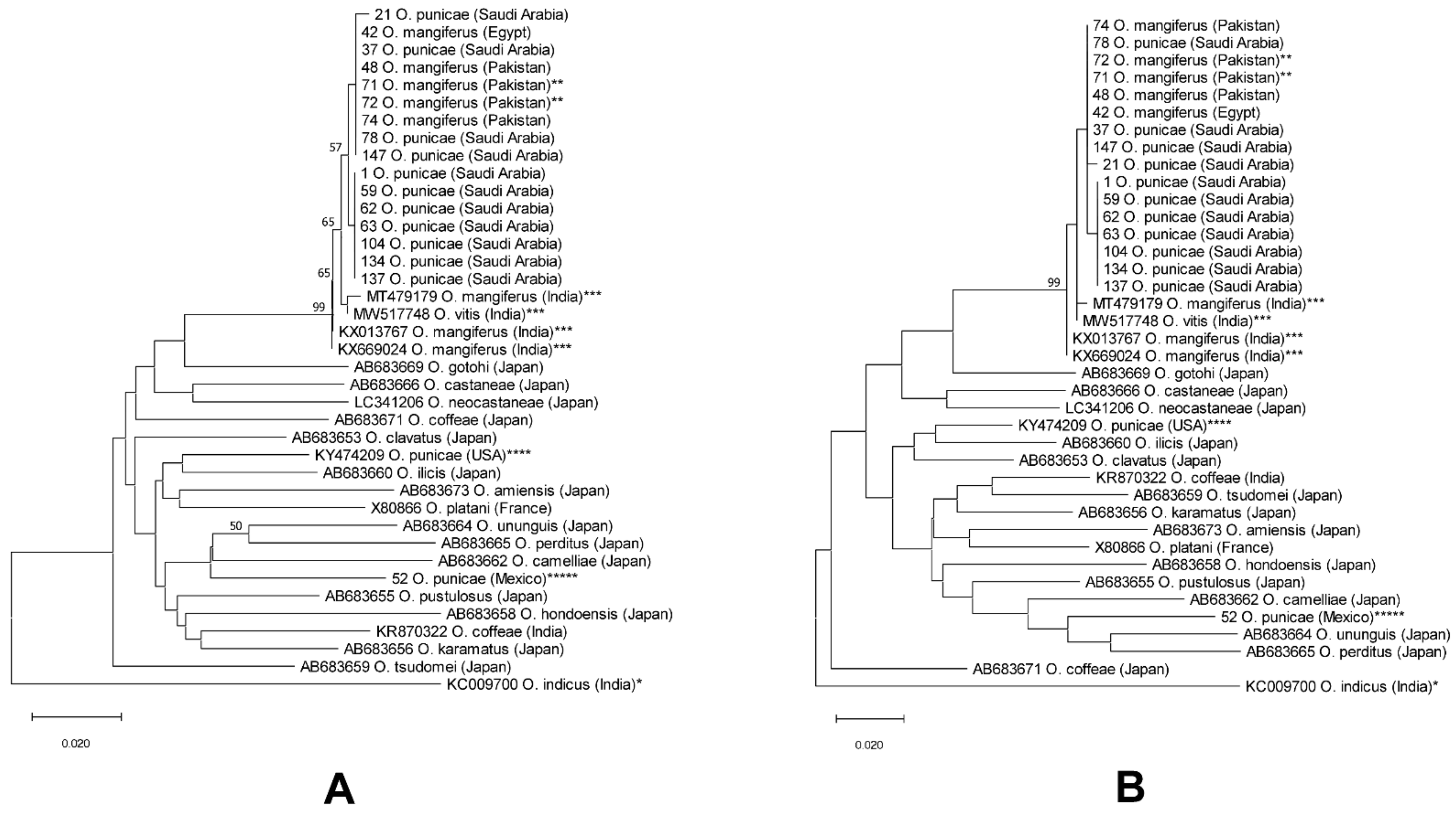 Insects 14 00003 g007 Insects 14 00003 g007