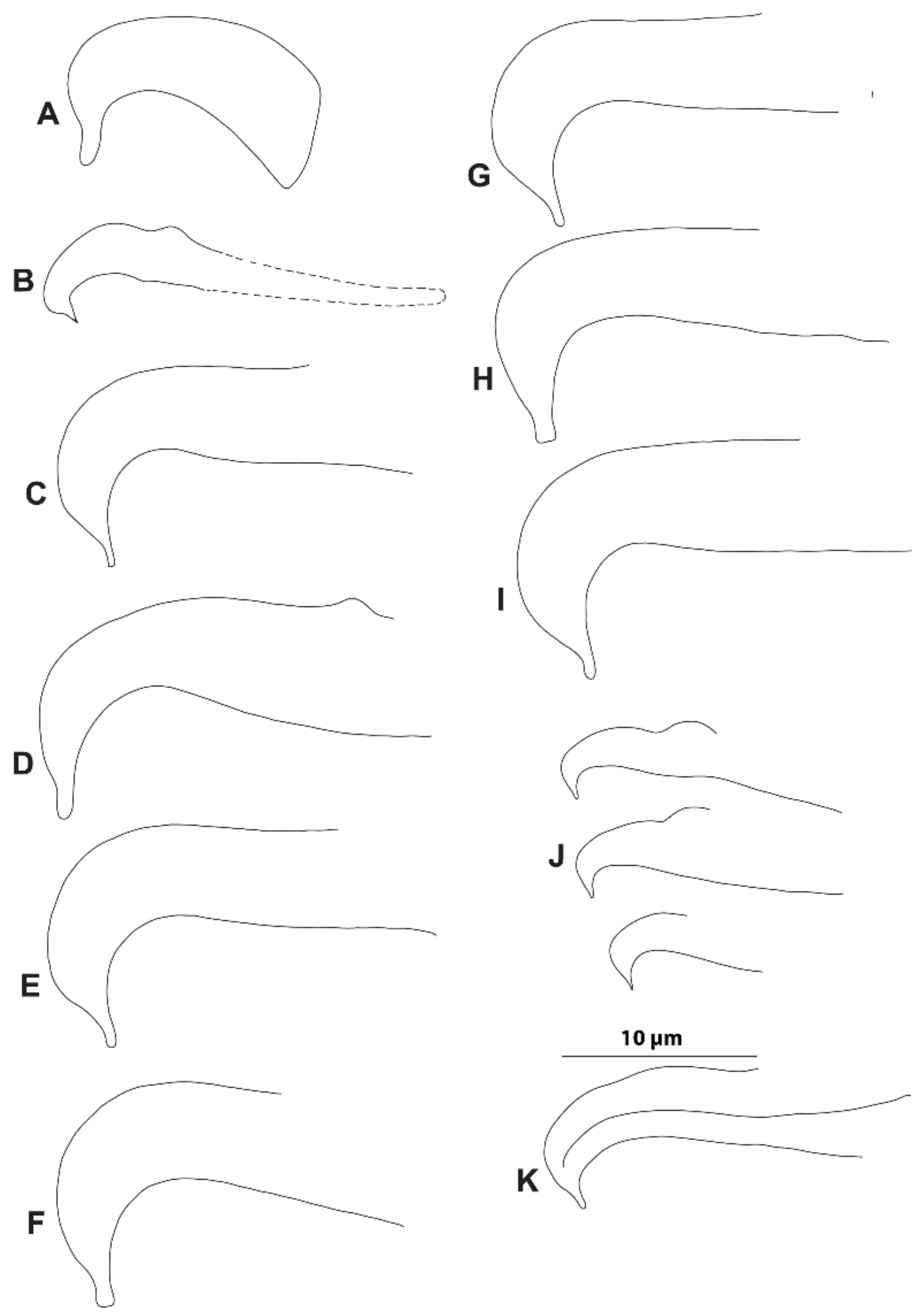 Insects 14 00003 g008 Insects 14 00003 g008