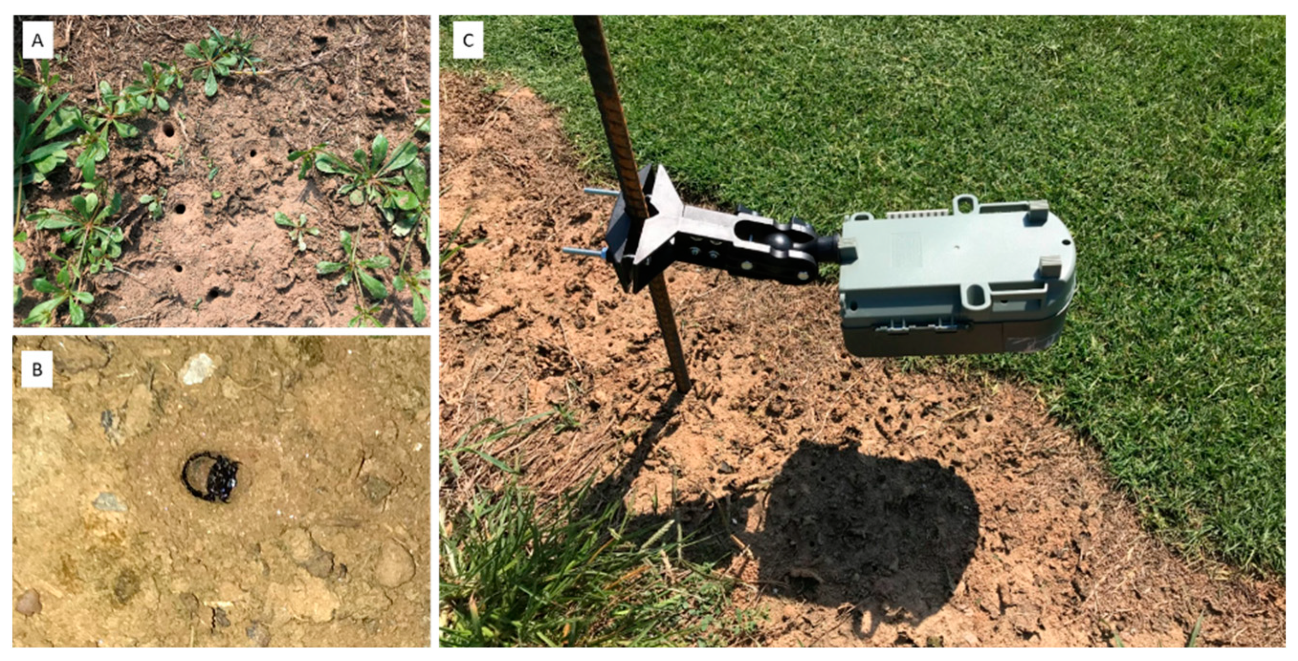 Insects 14 00008 g001