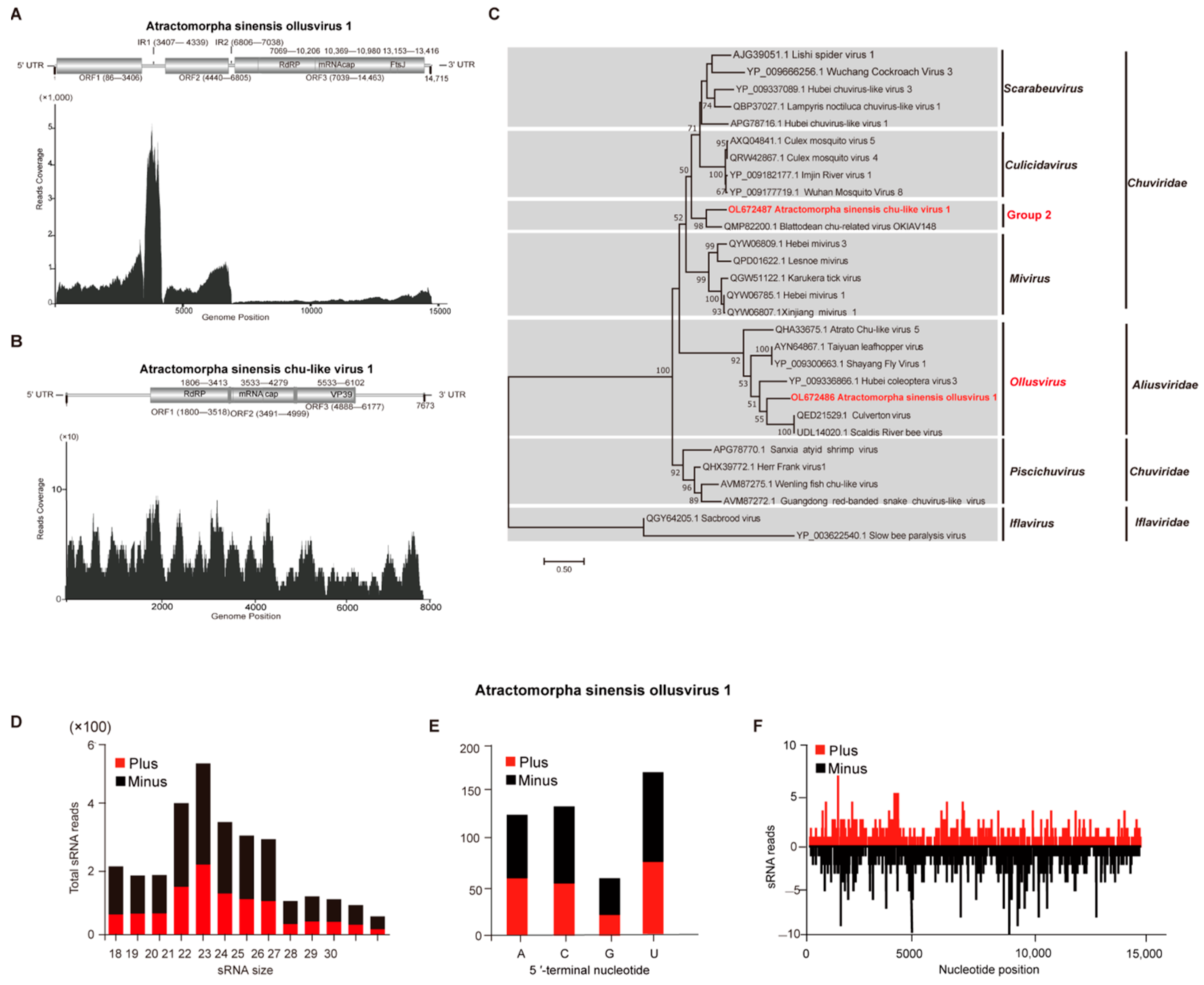 Integrative assessment of the transcriptome and virome of the