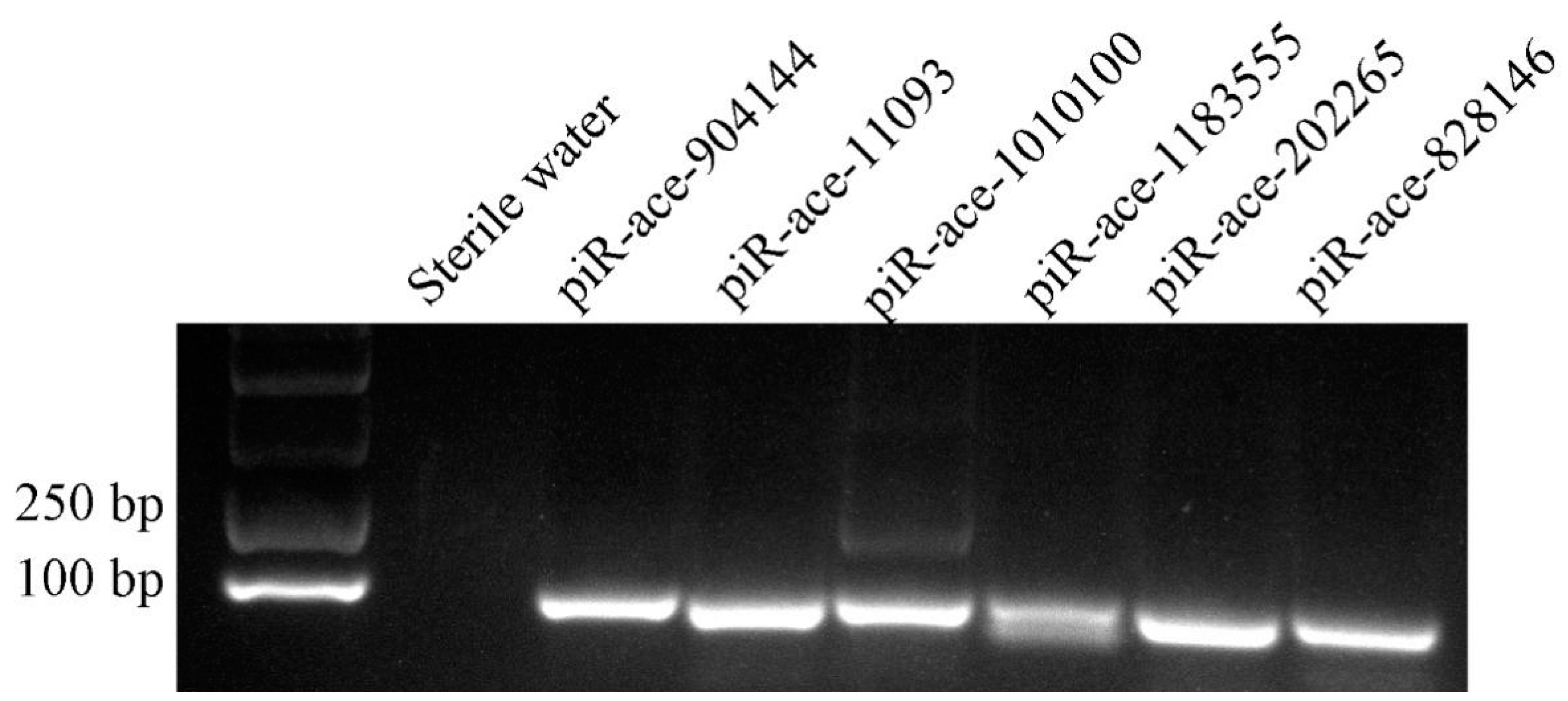 Insects 14 00016 g007 Insects 14 00016 g007