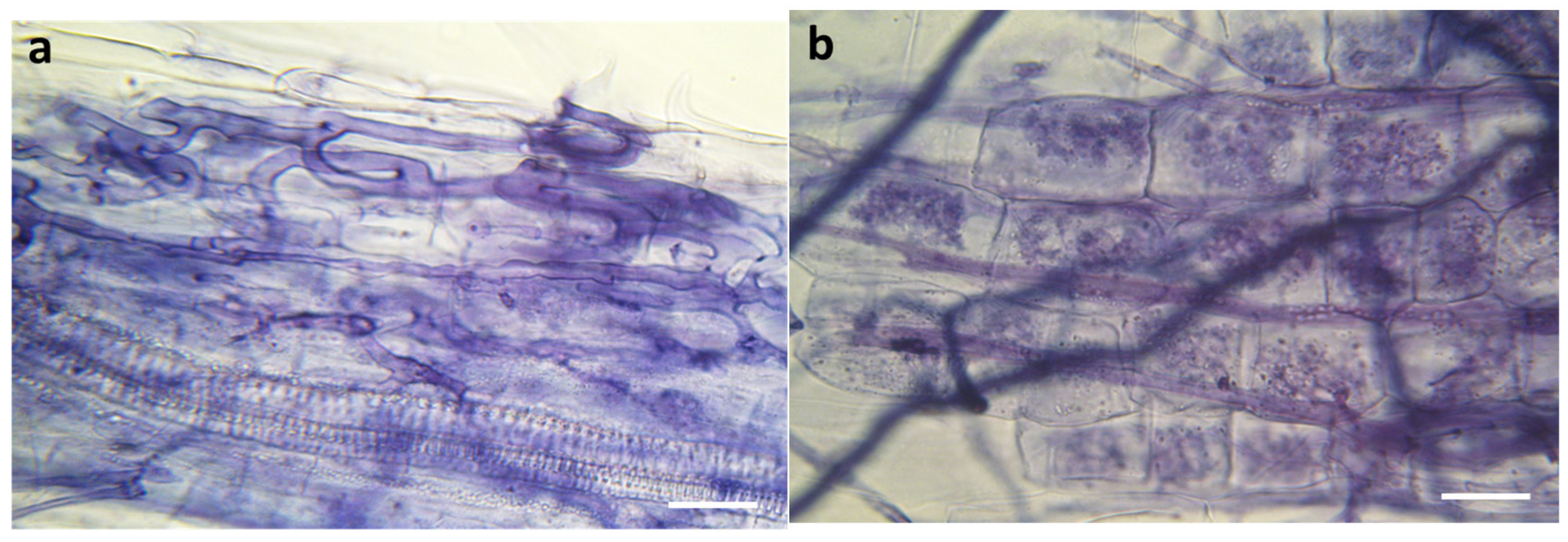 Insects 14 00020 g001 Insects 14 00020 g001