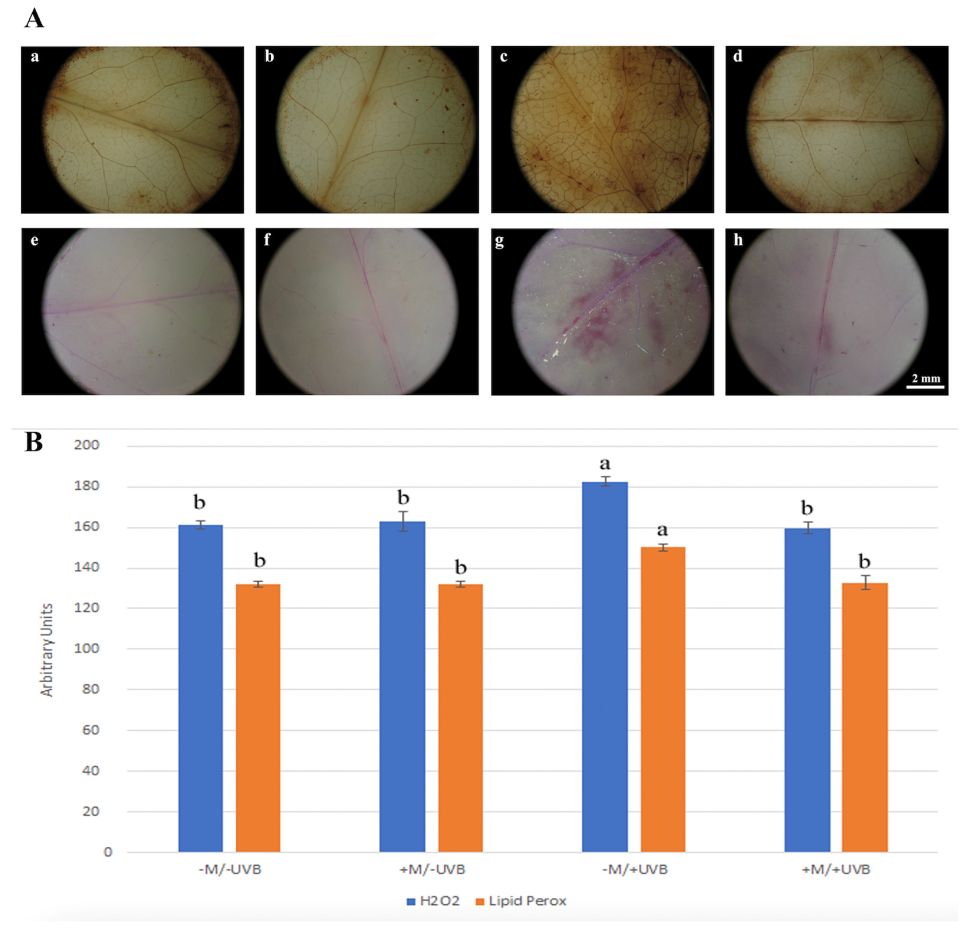 Insects 14 00020 g003 Insects 14 00020 g003