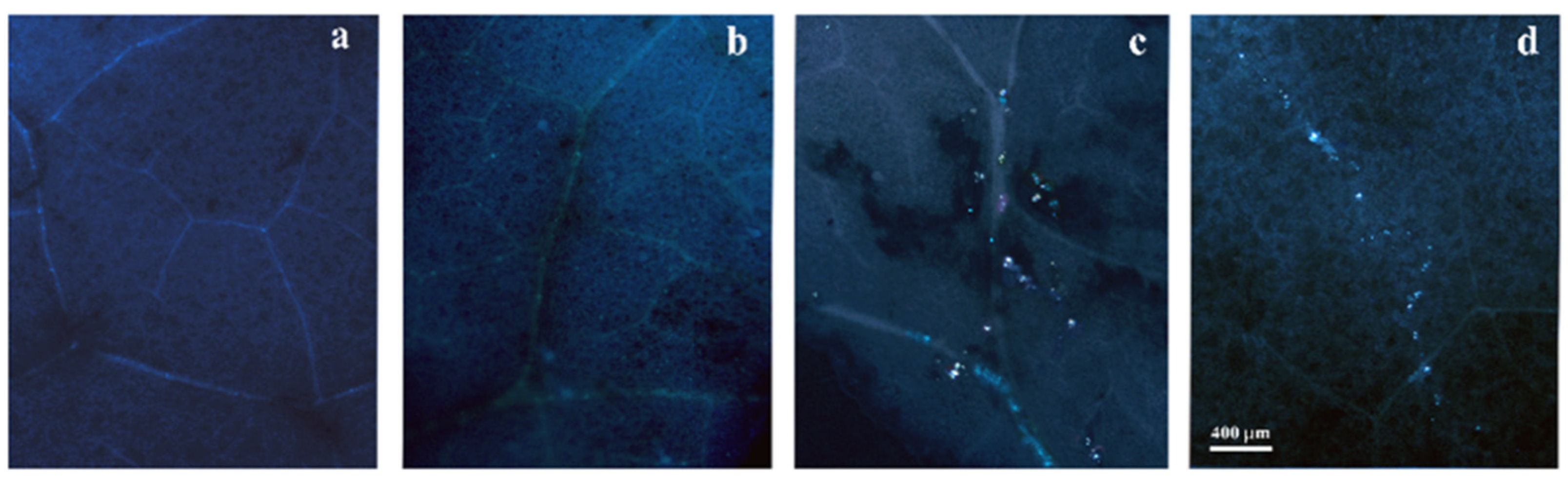 Insects 14 00020 g004 Insects 14 00020 g004