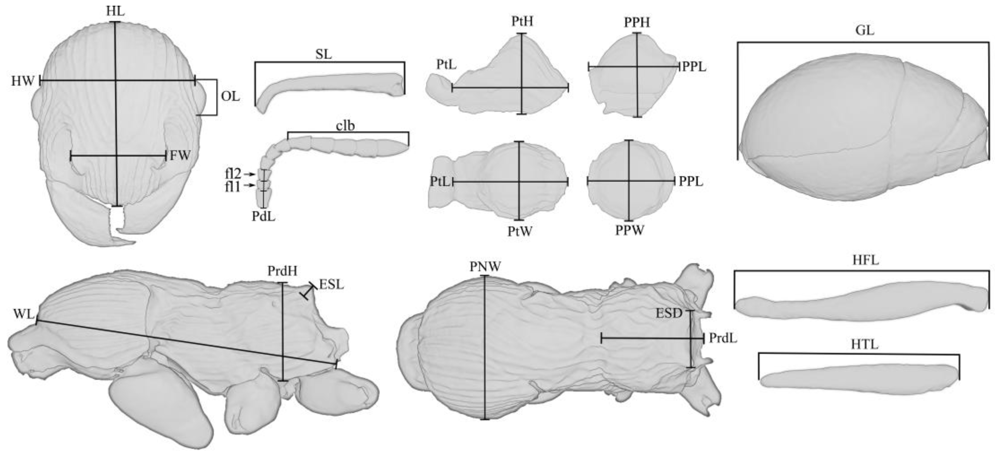 Insects 14 00021 g001