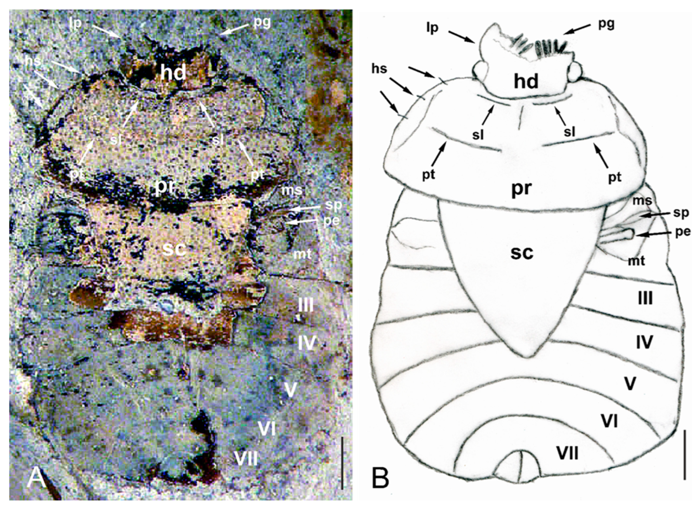 Insects 14 00022 g002