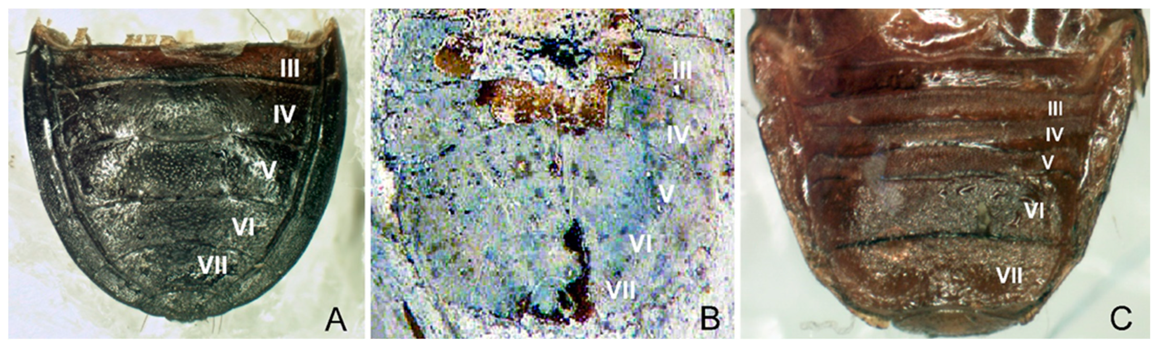 Insects 14 00022 g004