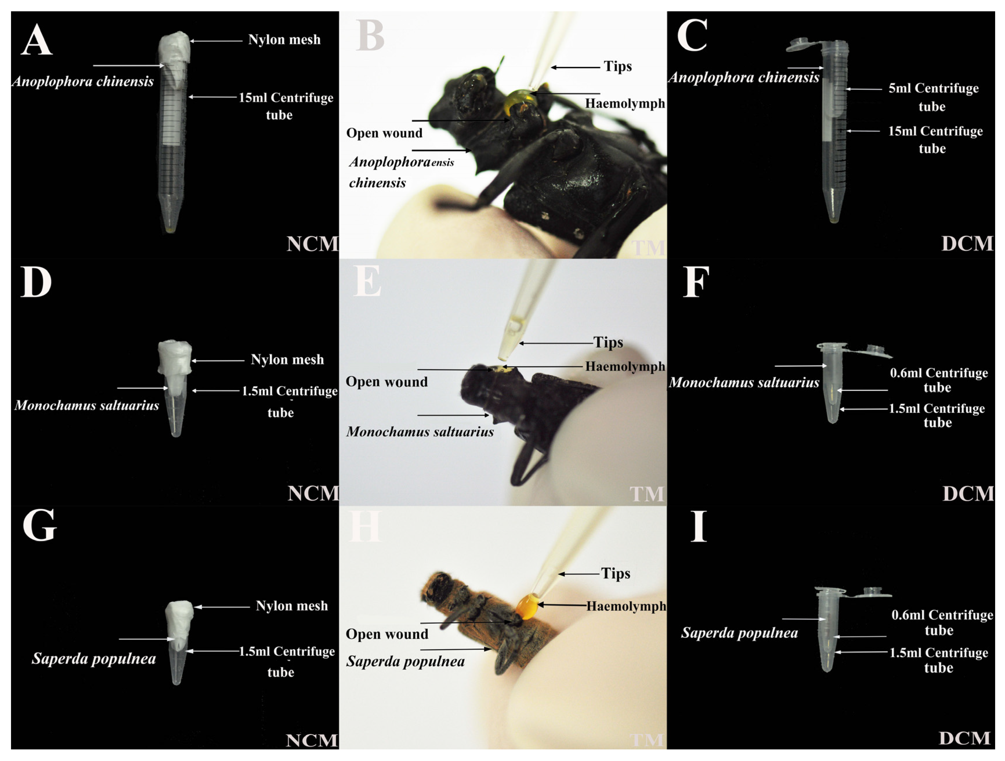 Insects 14 00029 g002