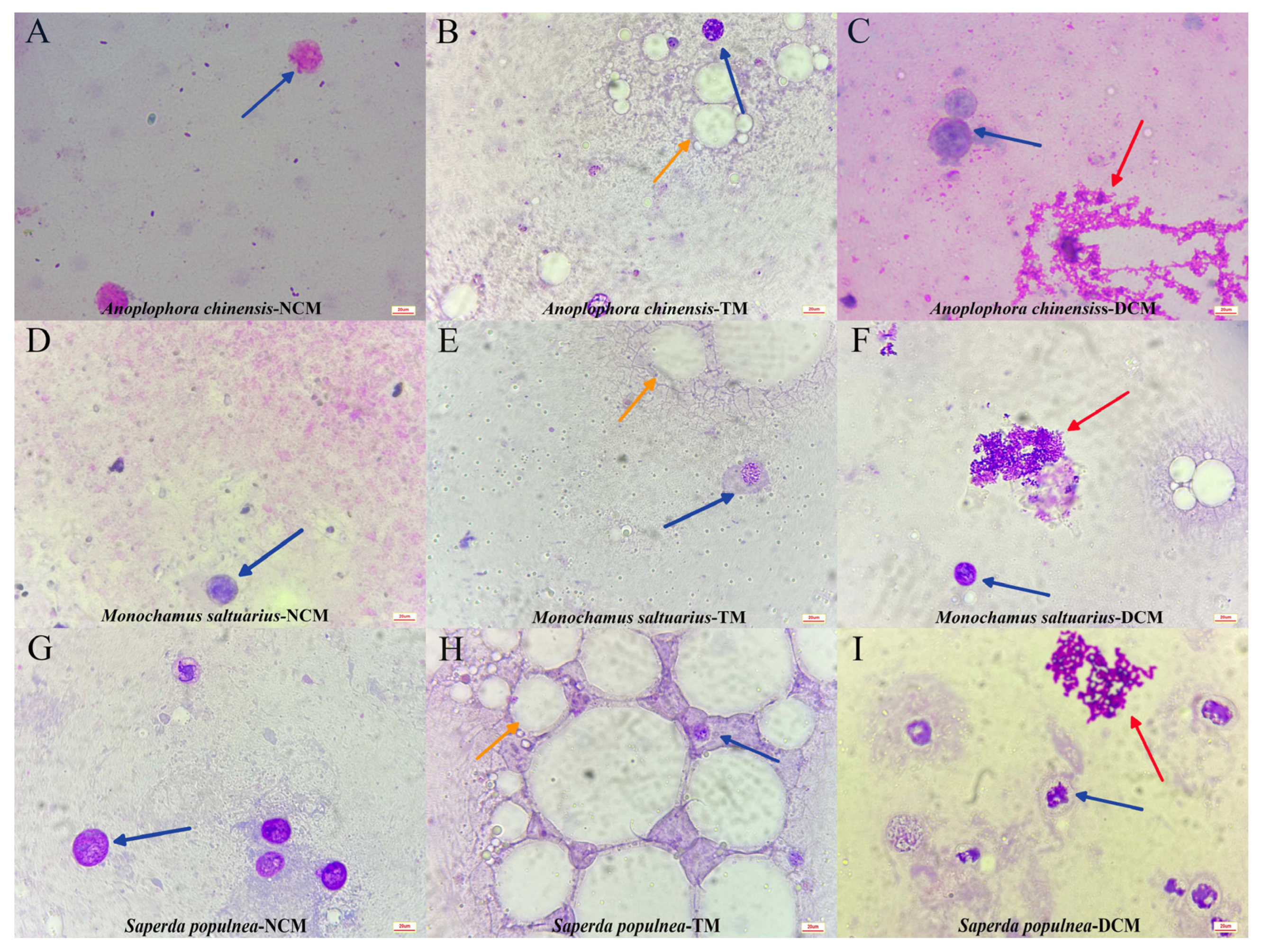 Insects 14 00029 g004