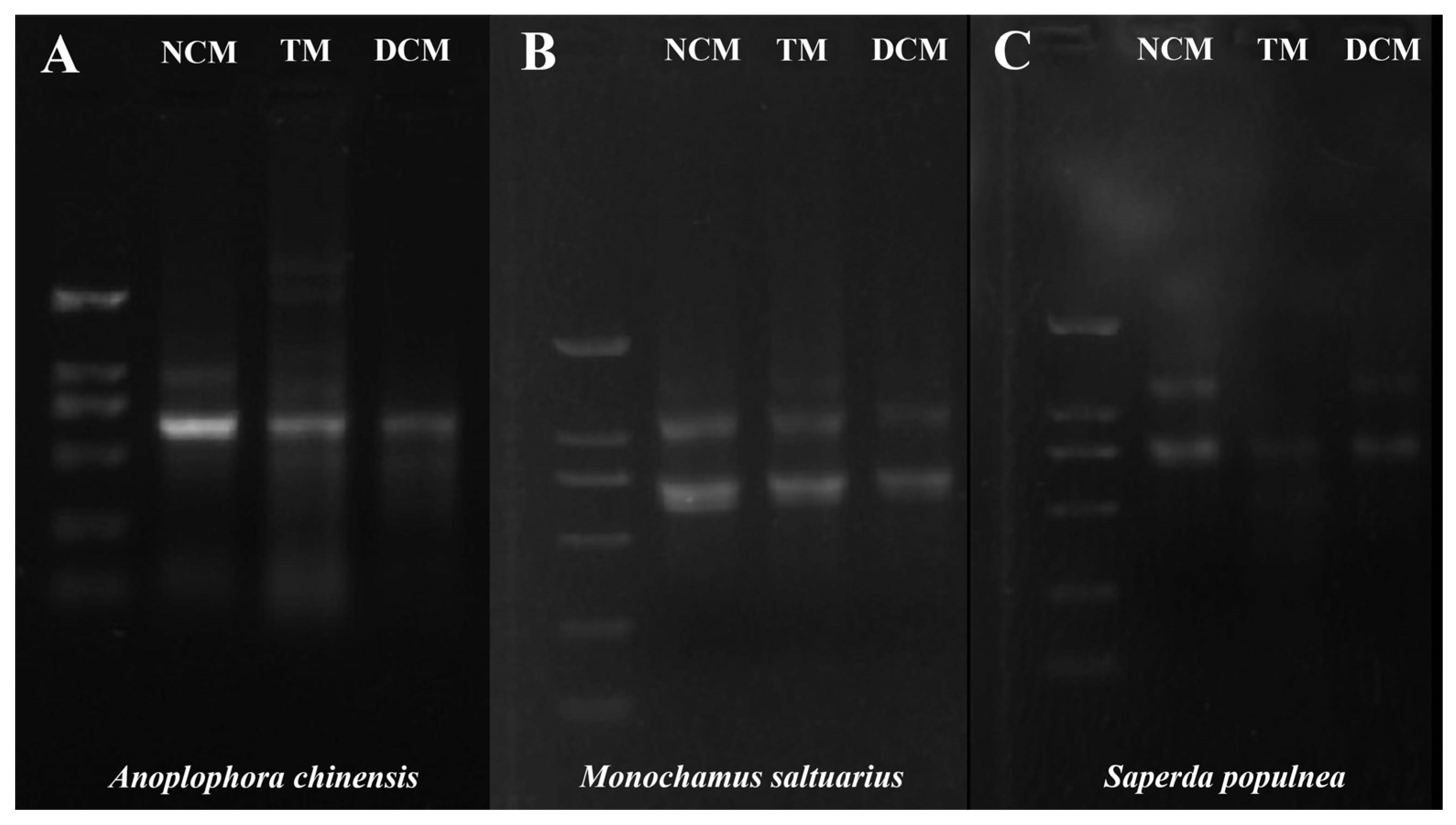 Insects 14 00029 g005