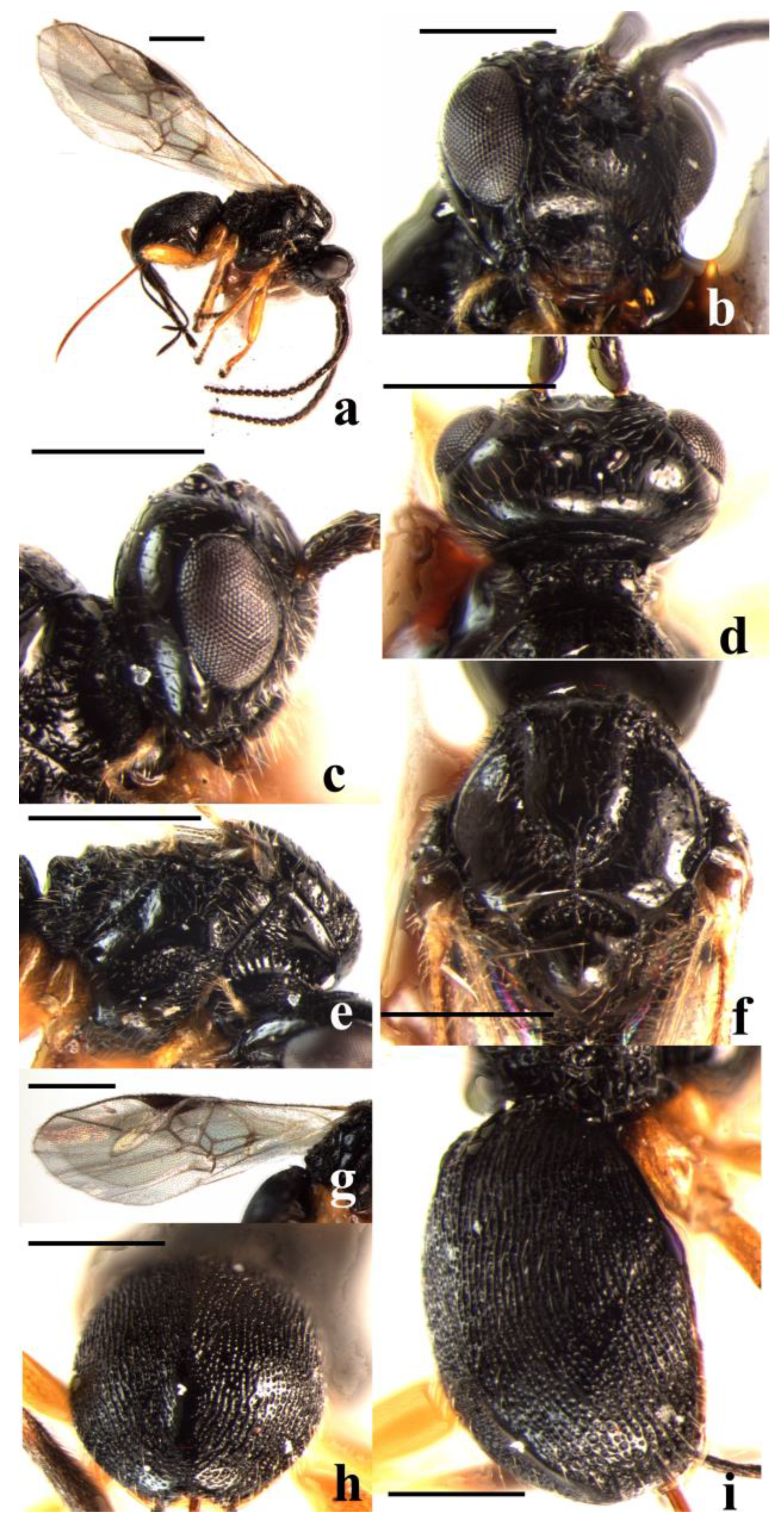 Insects 14 00036 g004