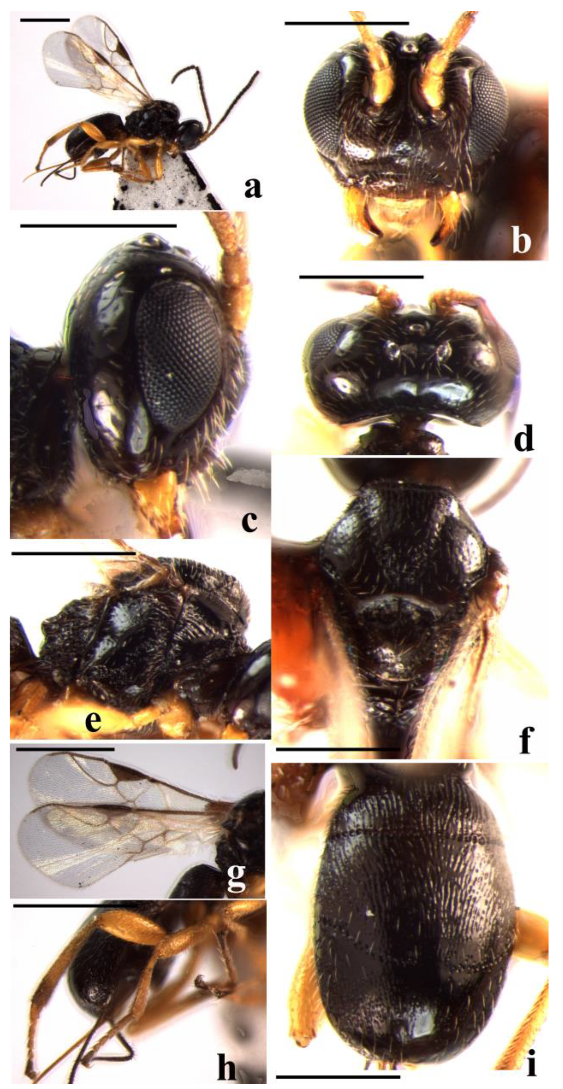 Insects 14 00036 g006