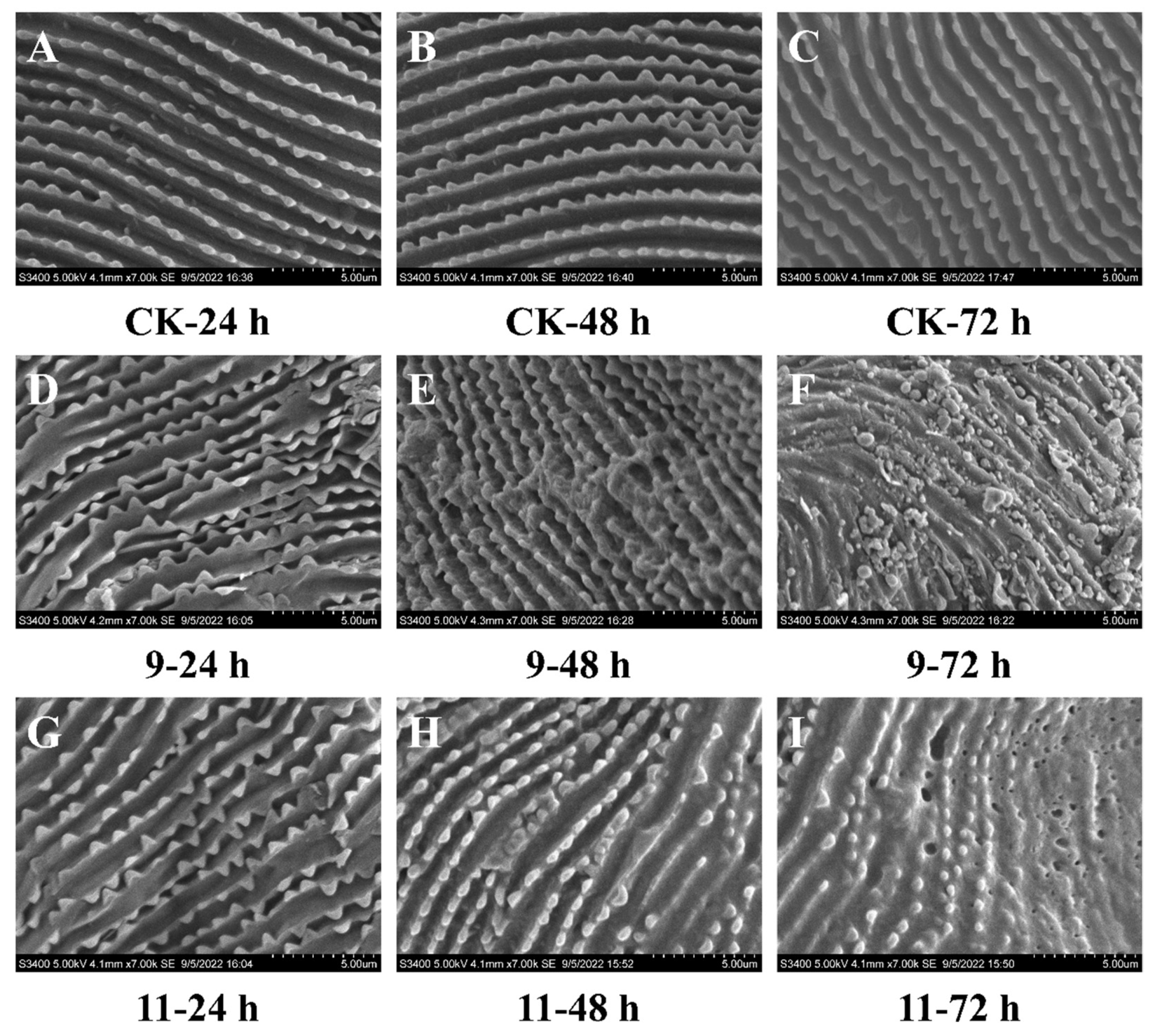 Insects 14 00040 g005