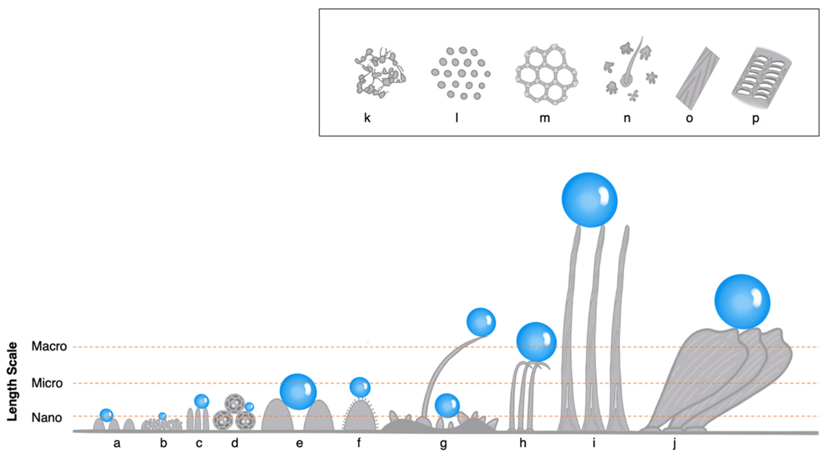 Insects 14 00042 g003 Insects 14 00042 g003