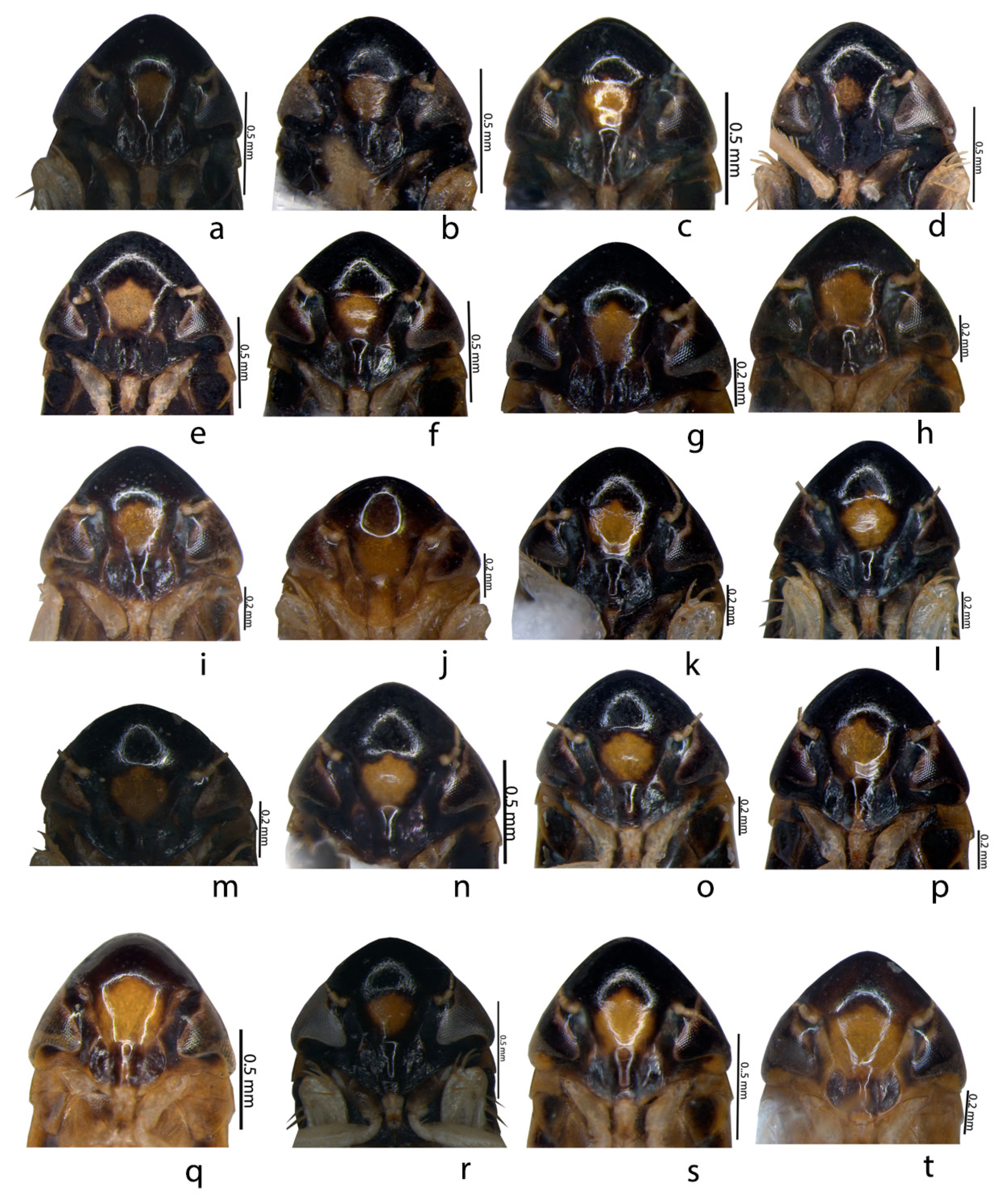 Insects 14 00044 g003 Insects 14 00044 g003